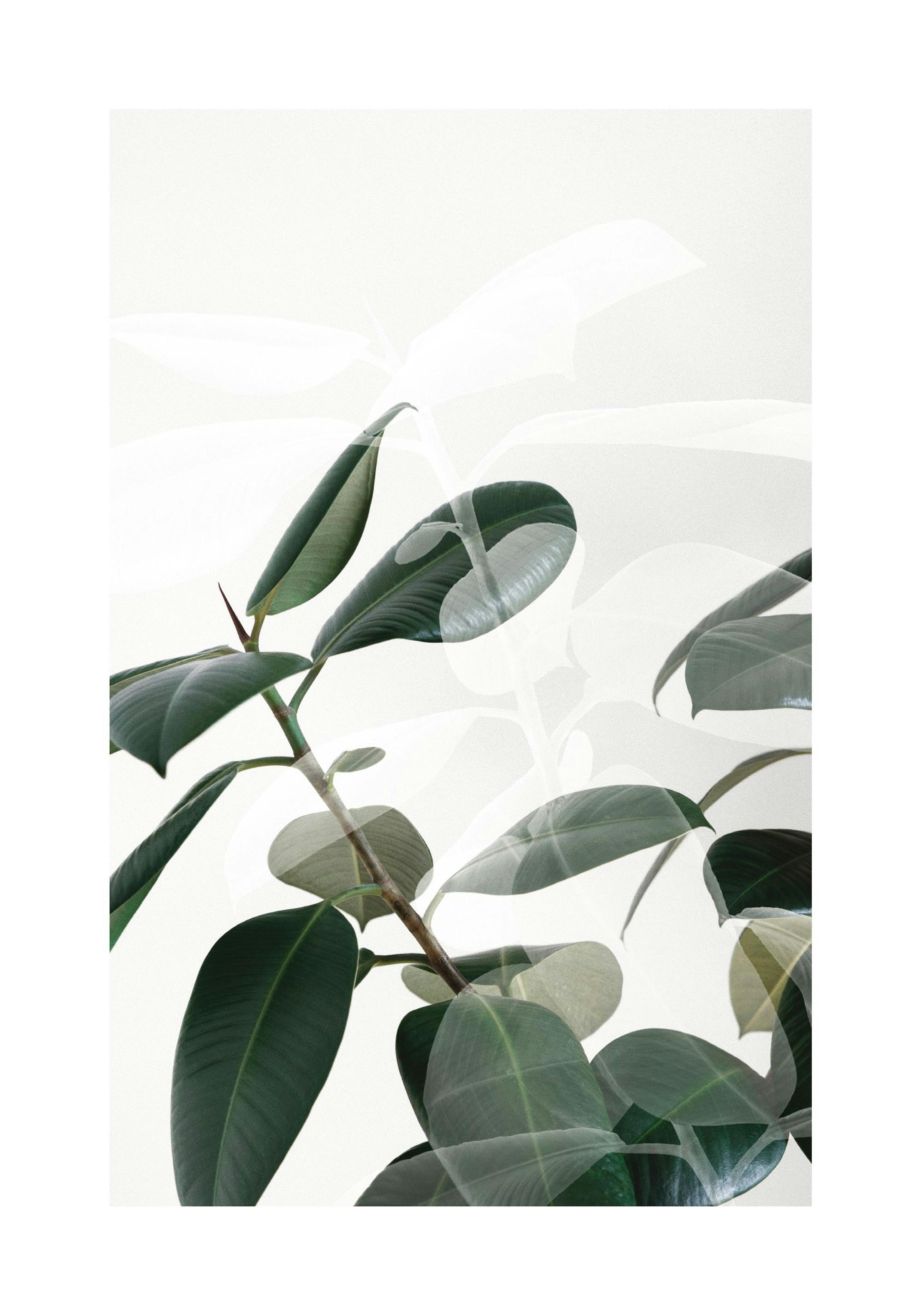 Product image: 1