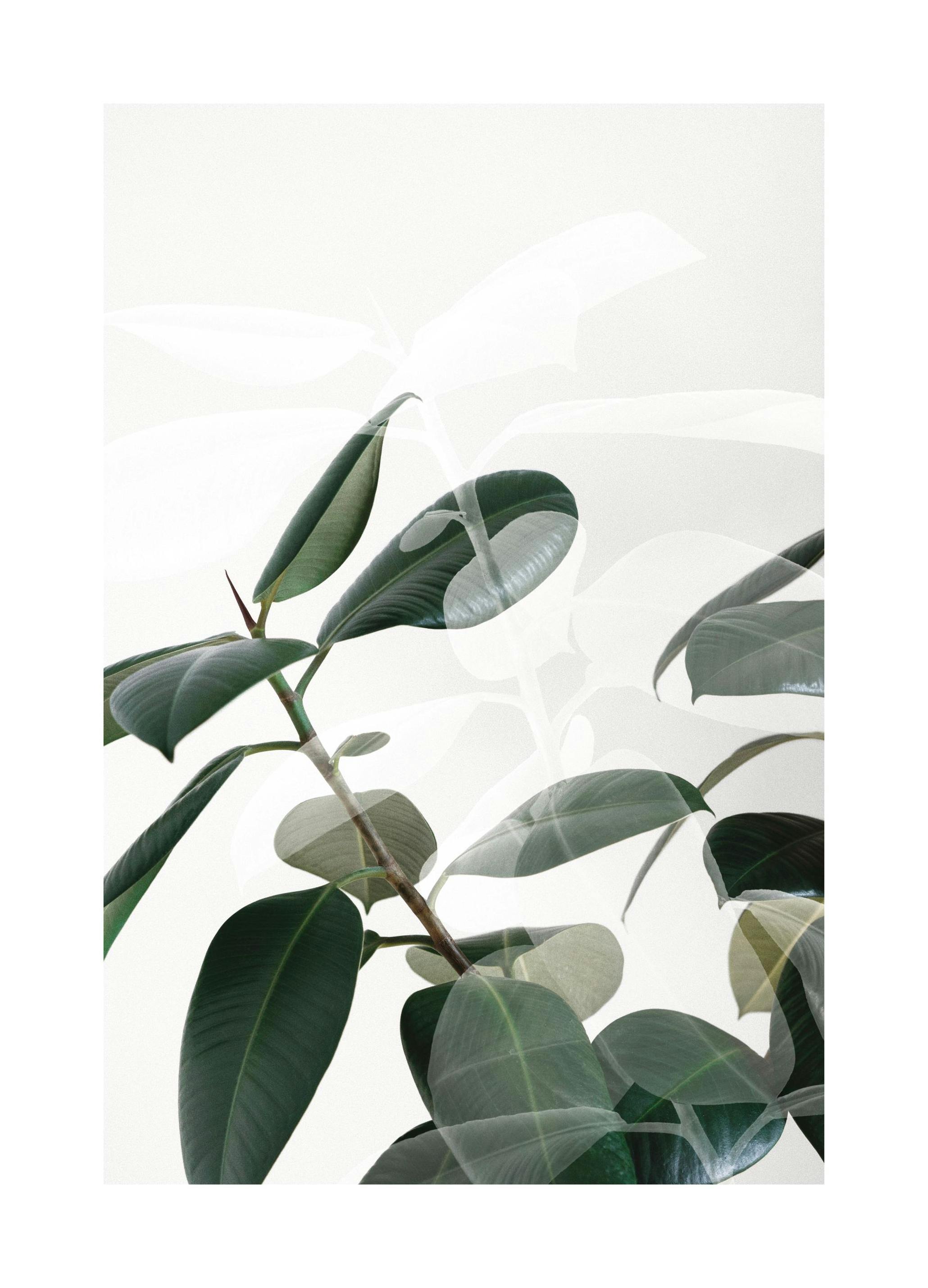 Odcienia Roślin Plakat (30x40 cm) - Poster Store