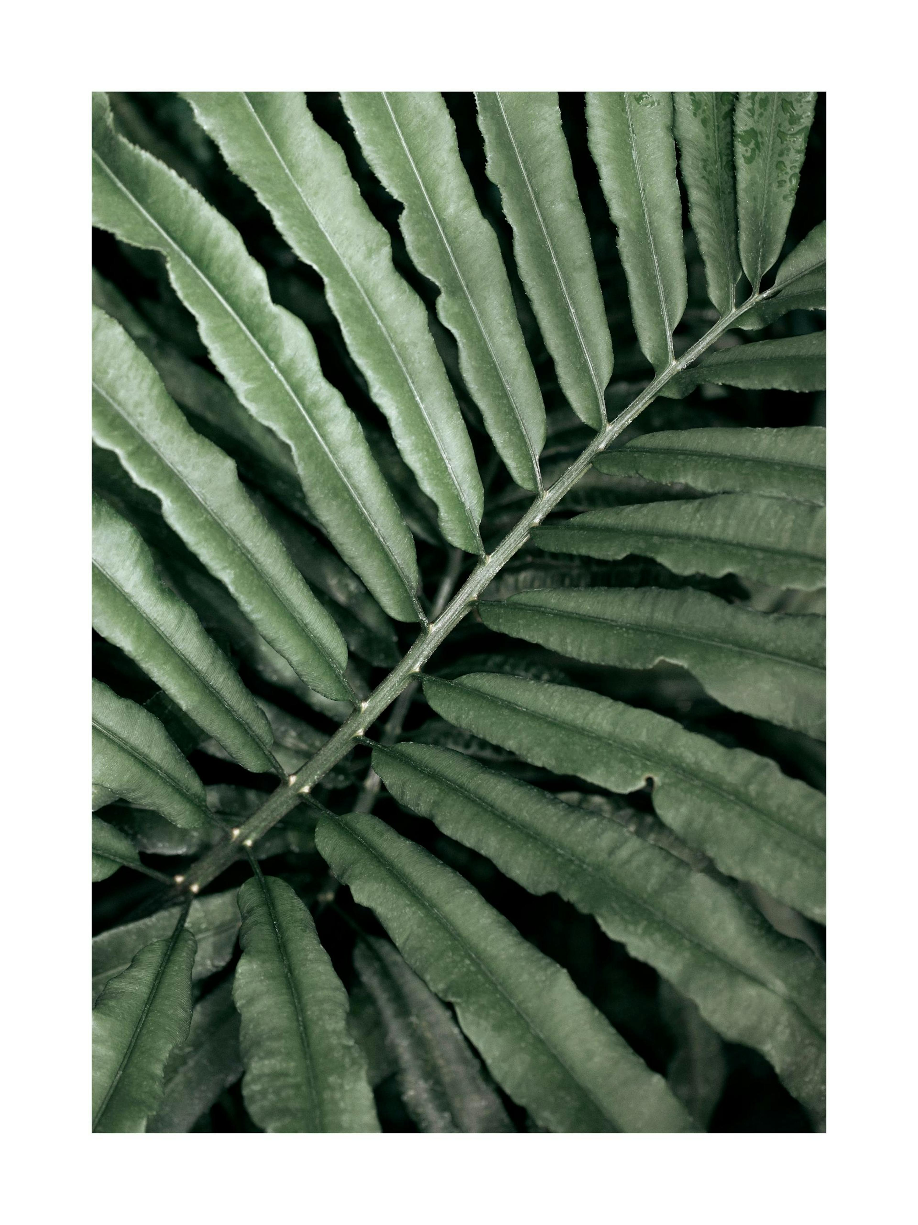 Product image: 1