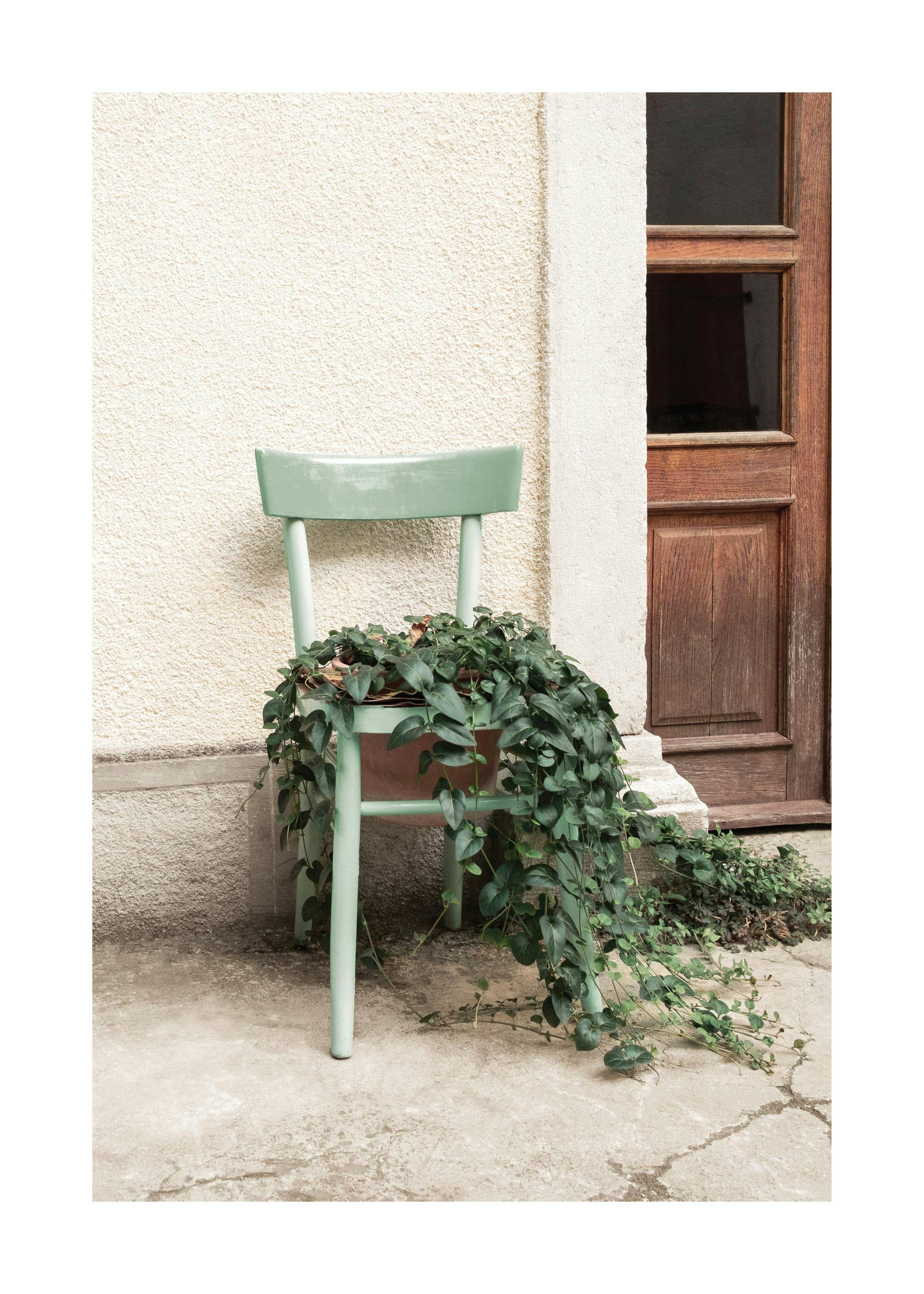 Plakat przedstawiający miętowe krzesło z zieloną rośliną płożącą, stojące przy beżowej ścianie i drewnianych drzwiach.