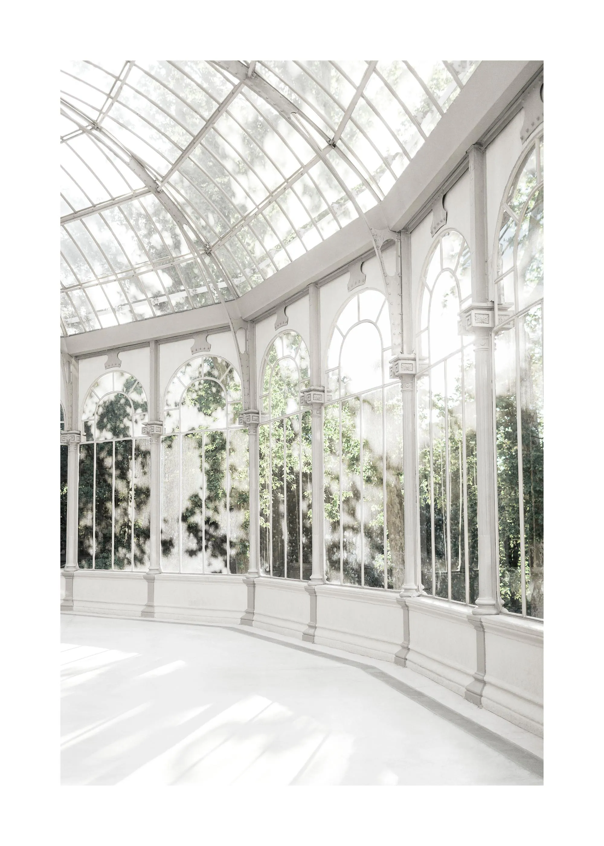 Plakát s prosvětleným interiérem skleníku s bílou prosklenou konstrukcí a zelenými stromy v pozadí.