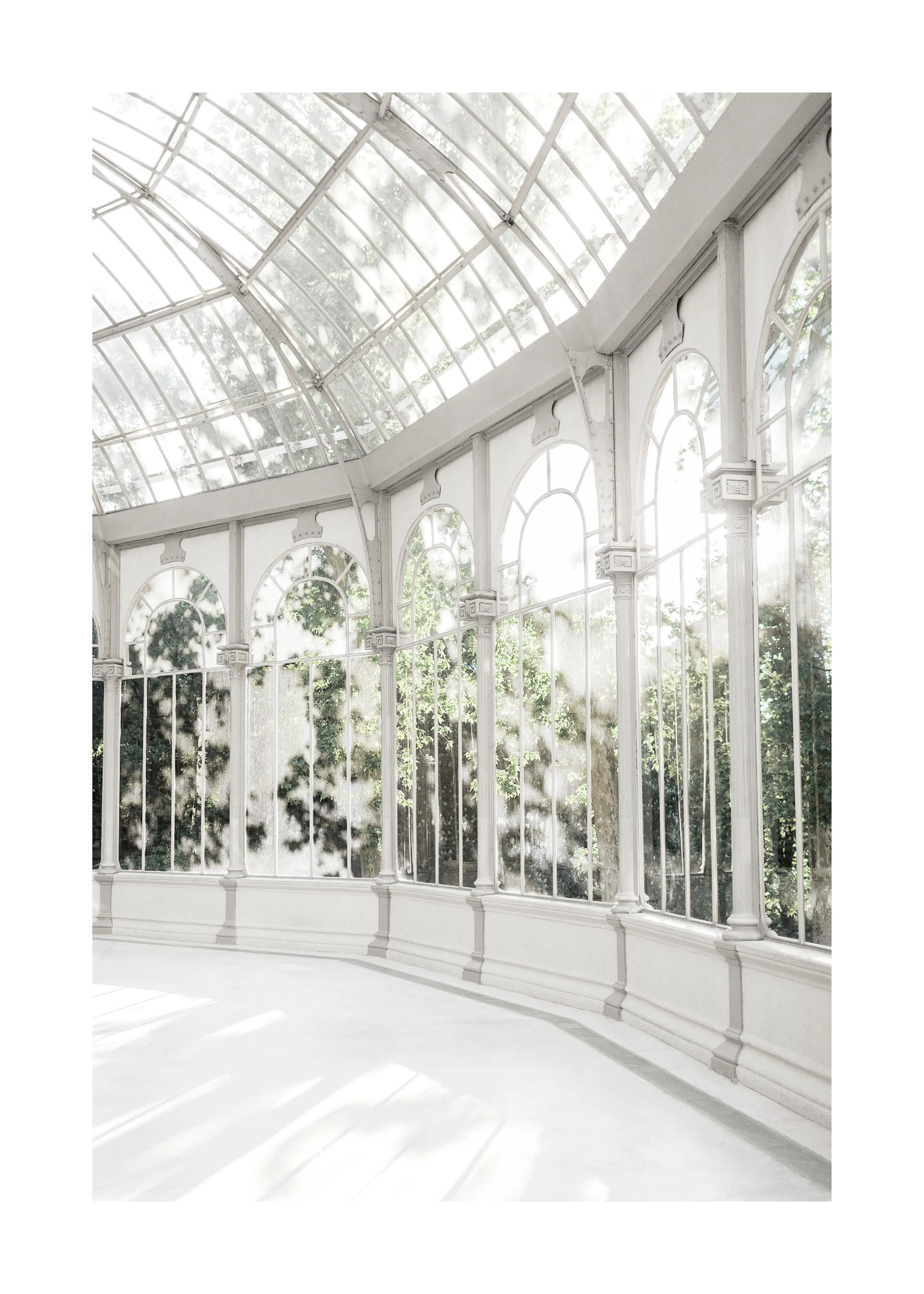 Plakát s prosvětleným interiérem skleníku s bílou prosklenou konstrukcí a zelenými stromy v pozadí.