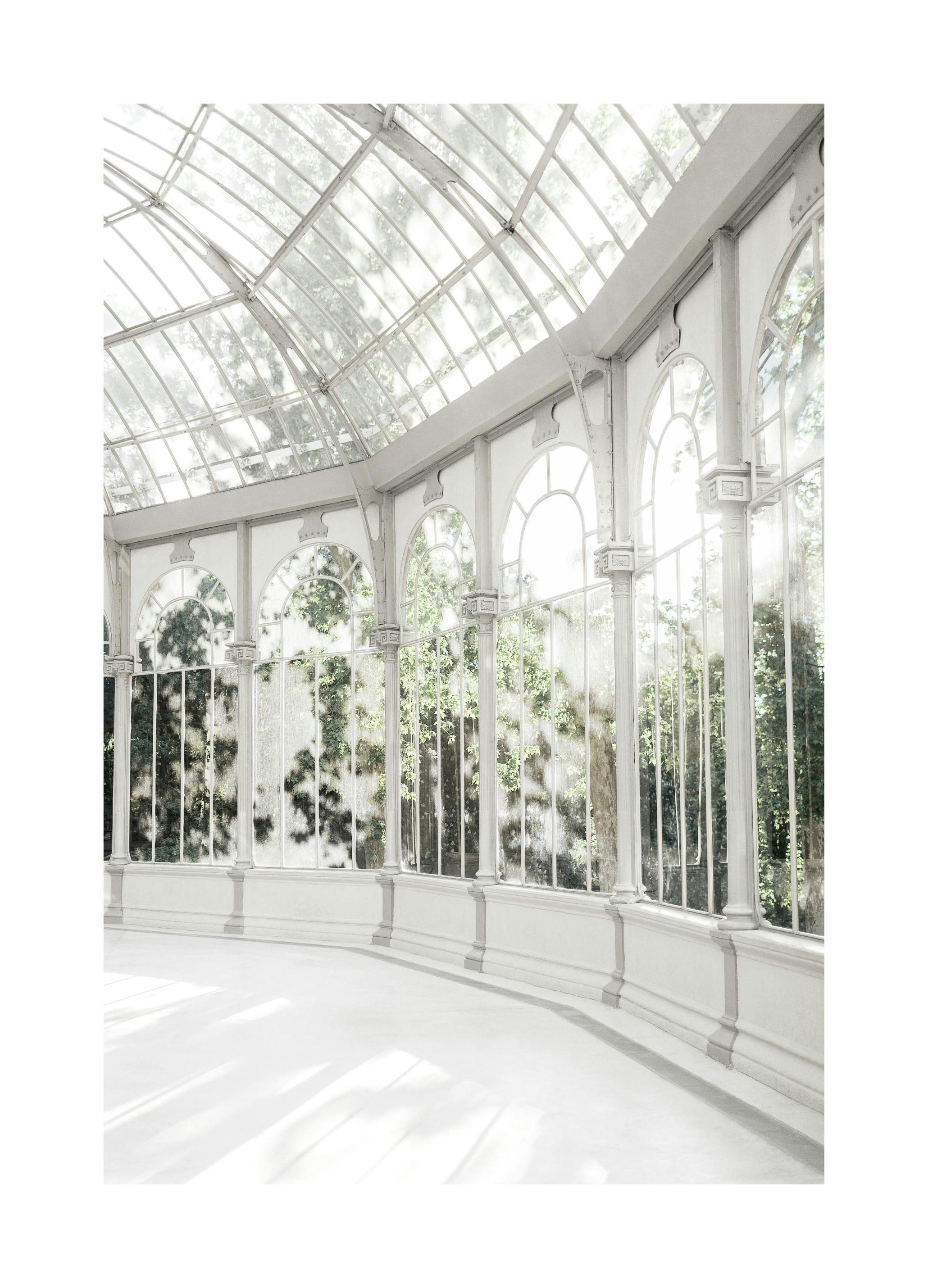 Serra botanica Poster (30x40 cm) - Poster Store