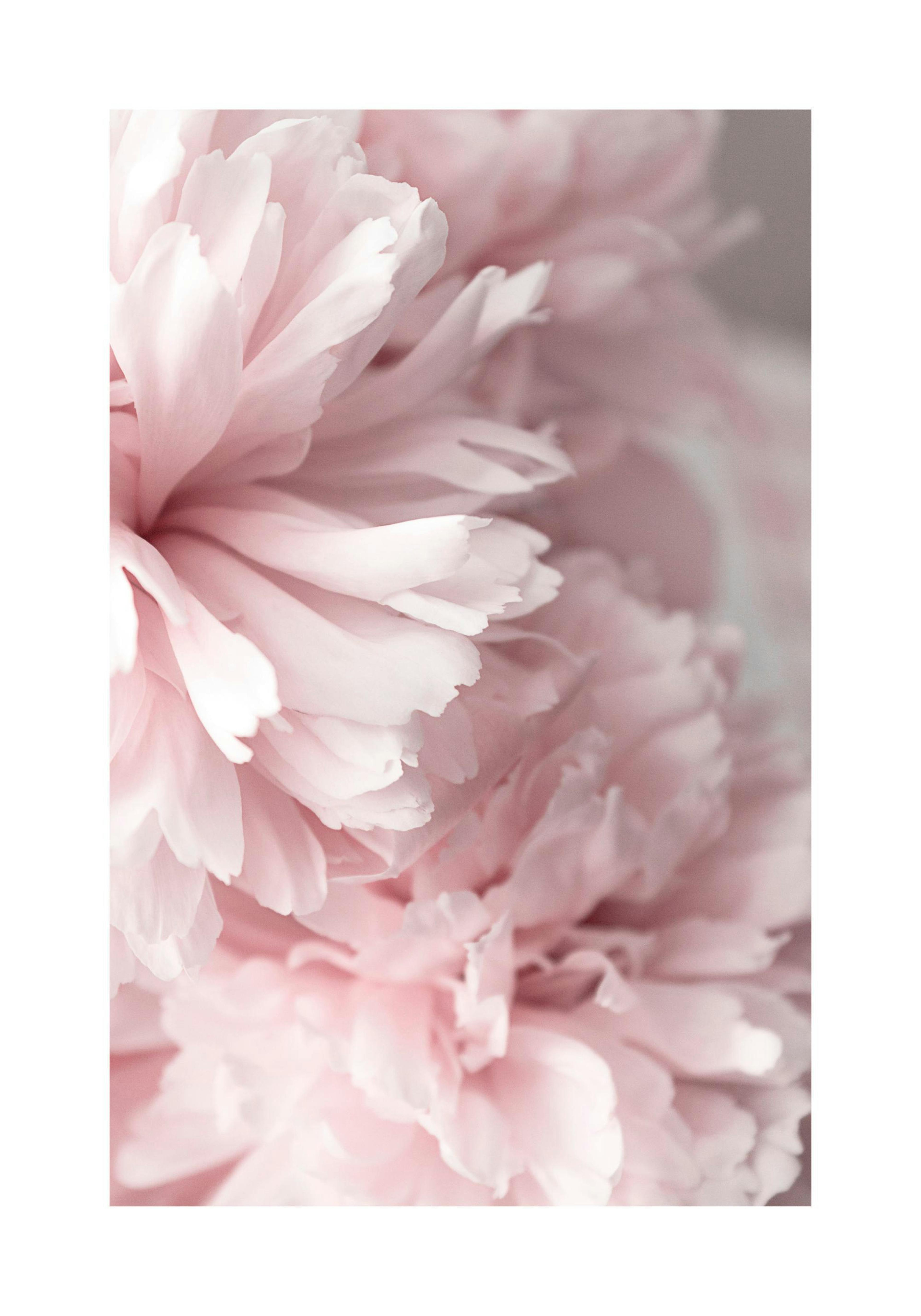 Product image: 1
