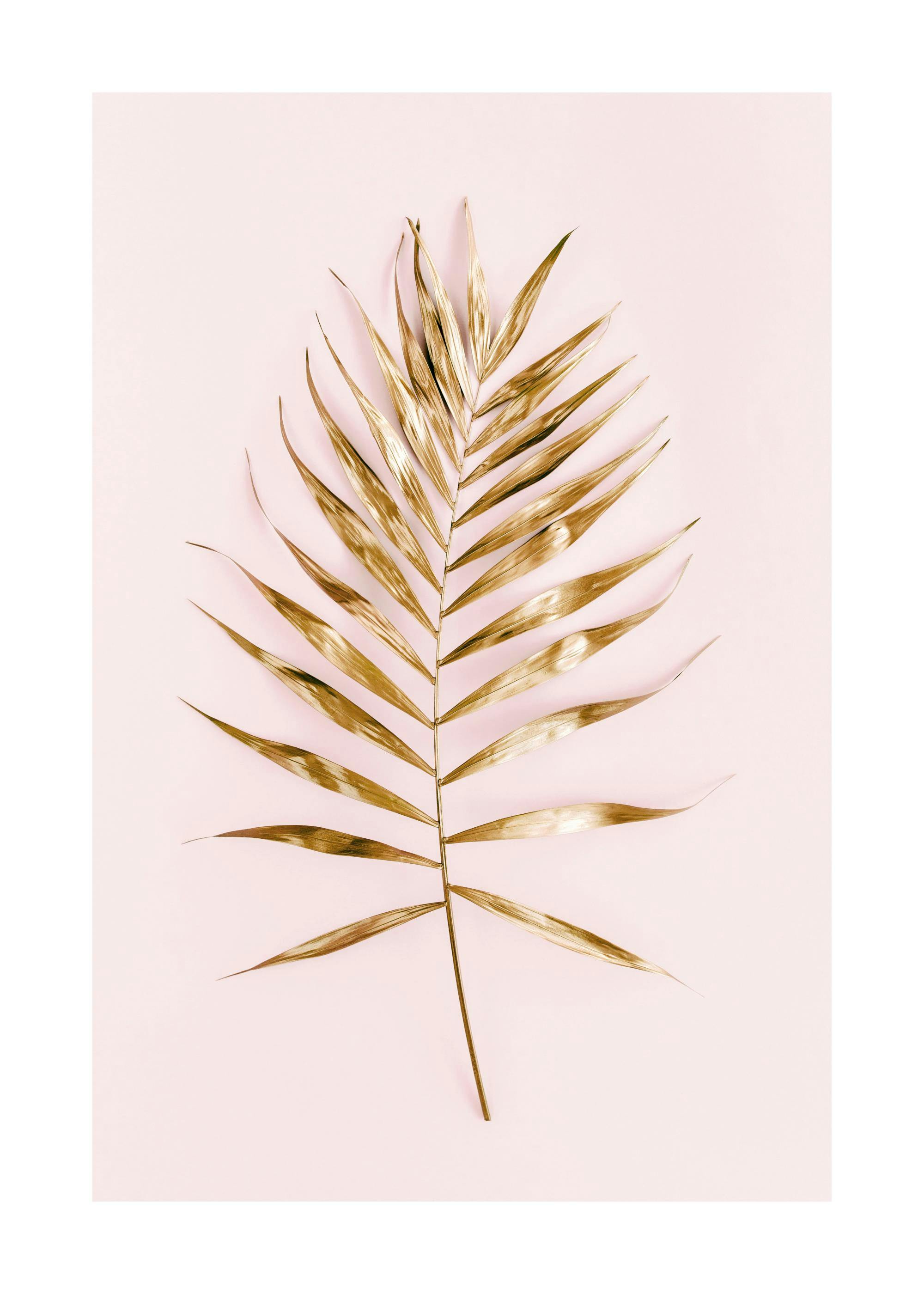 A poster featuring a golden palm leaf on a soft pink background, creating a minimalist botanical design.