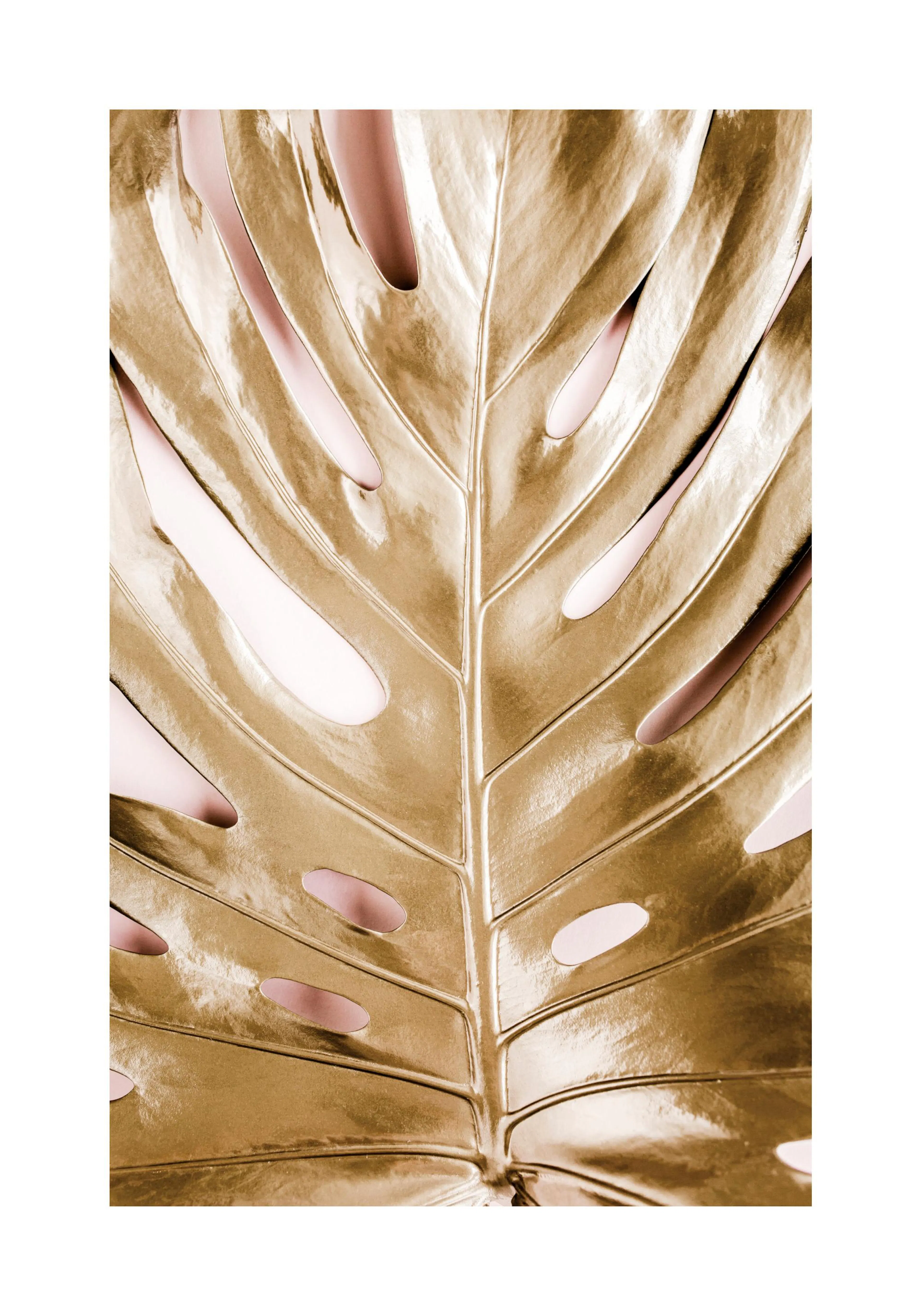 A poster featuring a close-up of a golden monstera leaf with pink accents visible through its cut-outs.