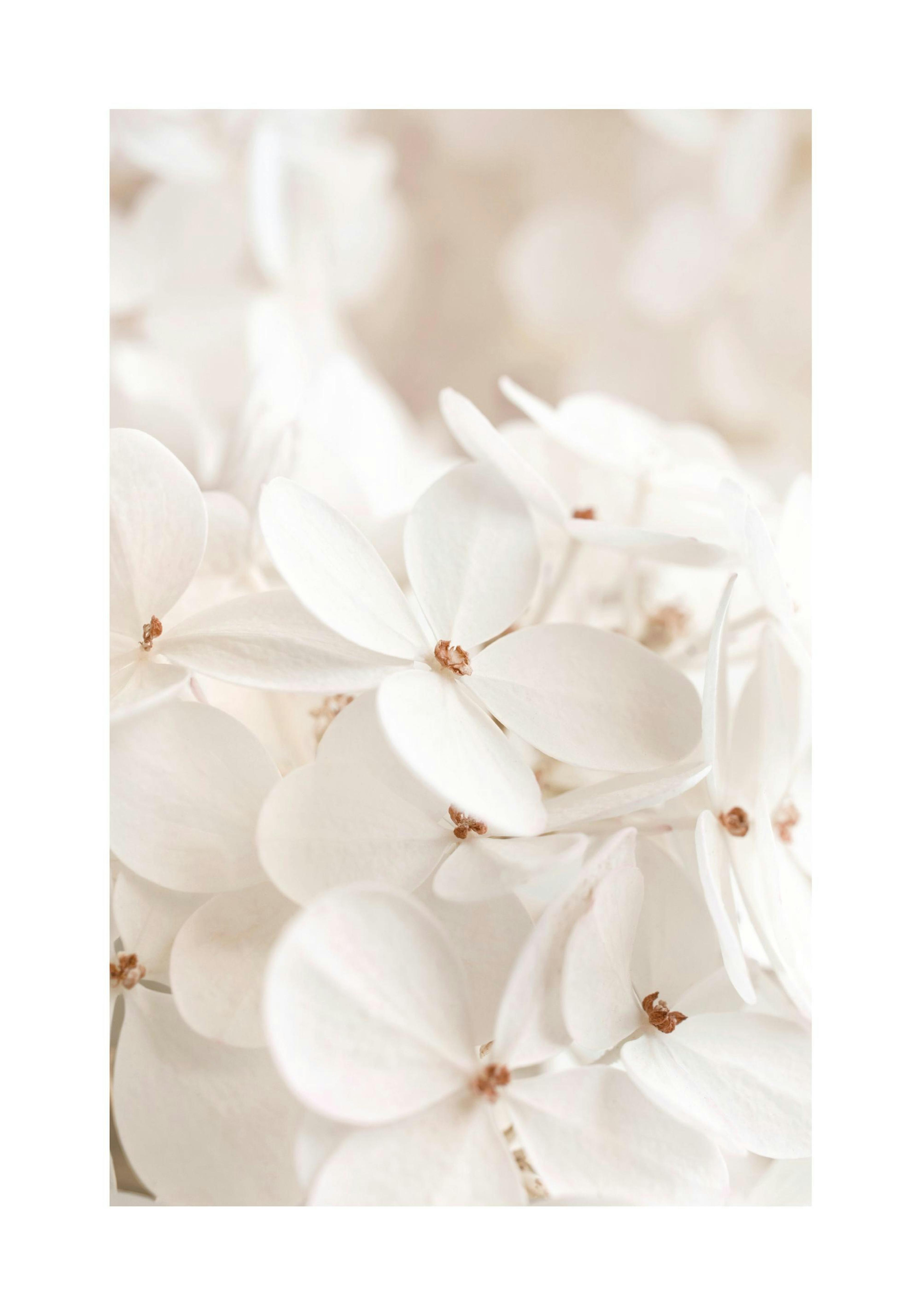 Product image: 1