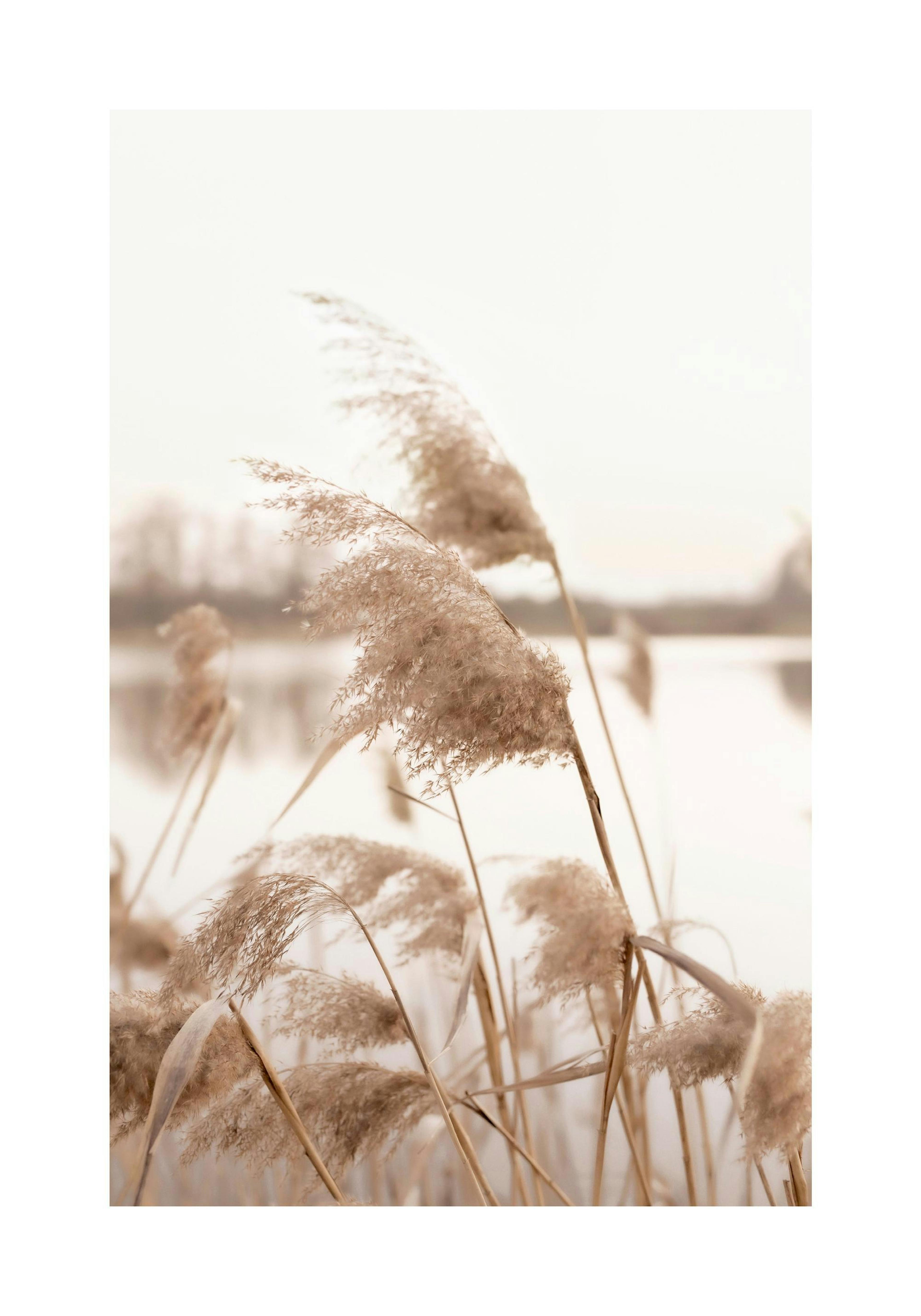 Product image: 1