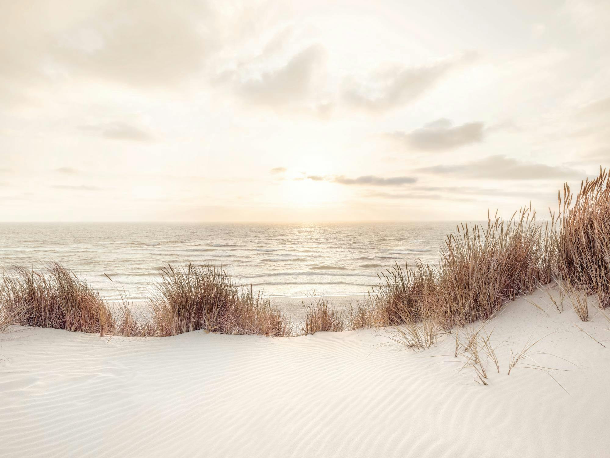 Un poster di un paesaggio marino con dune di sabbia e erba secca, il mare e il cielo al tramonto.