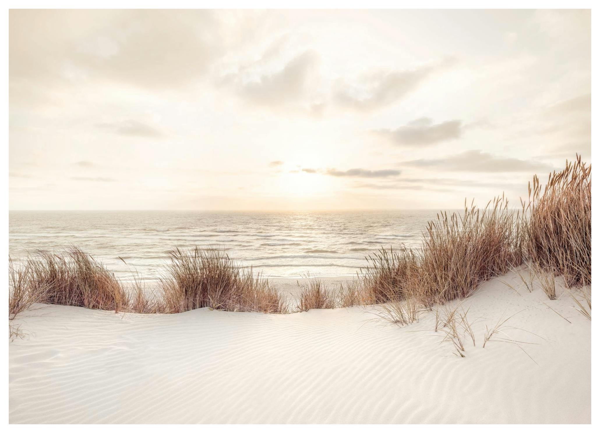 Sunset at Dune Beach Poster (70x100 cm) - Poster Store