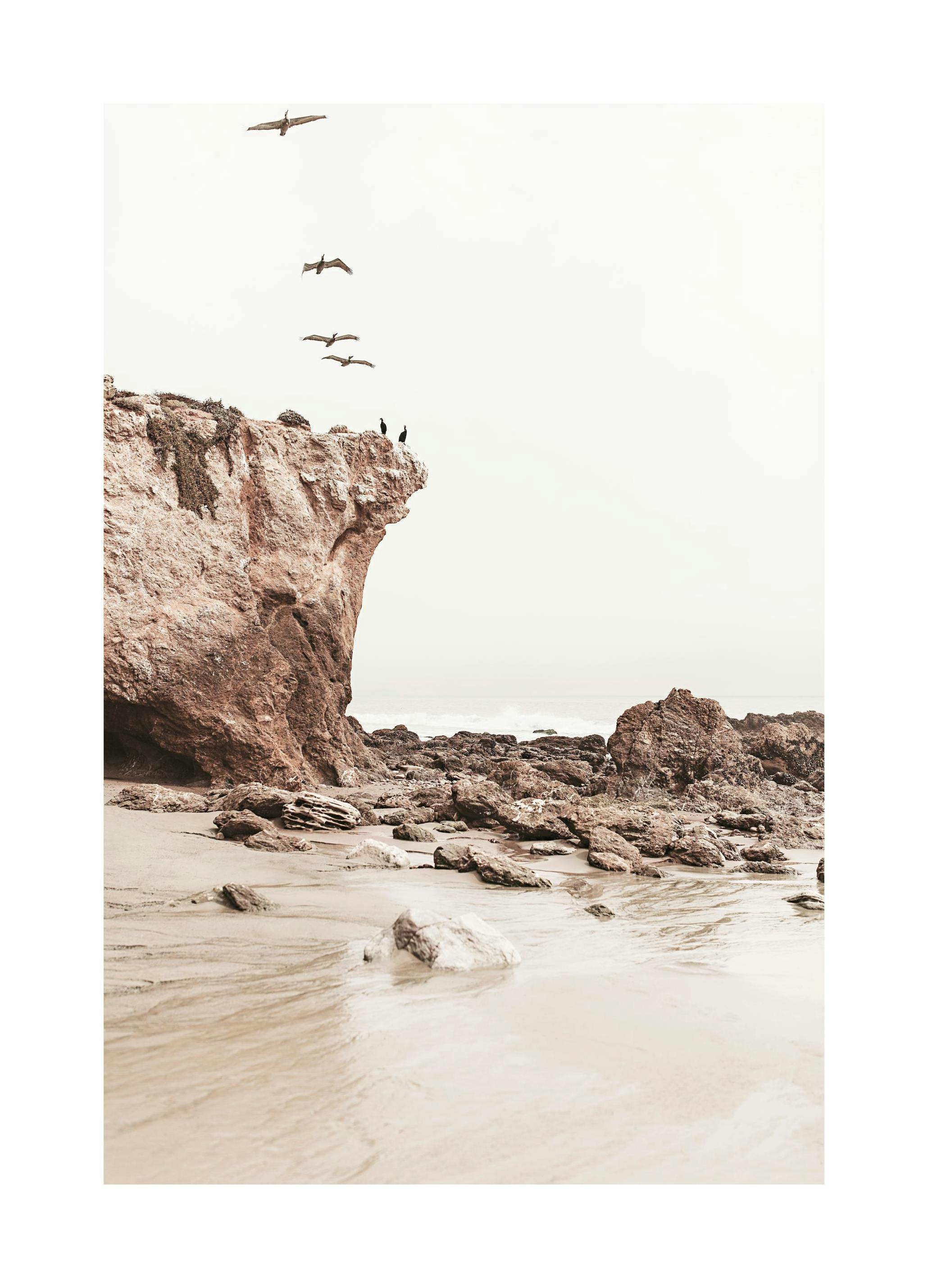 Birds on the Coast Poster (50x70 cm) - Poster Store