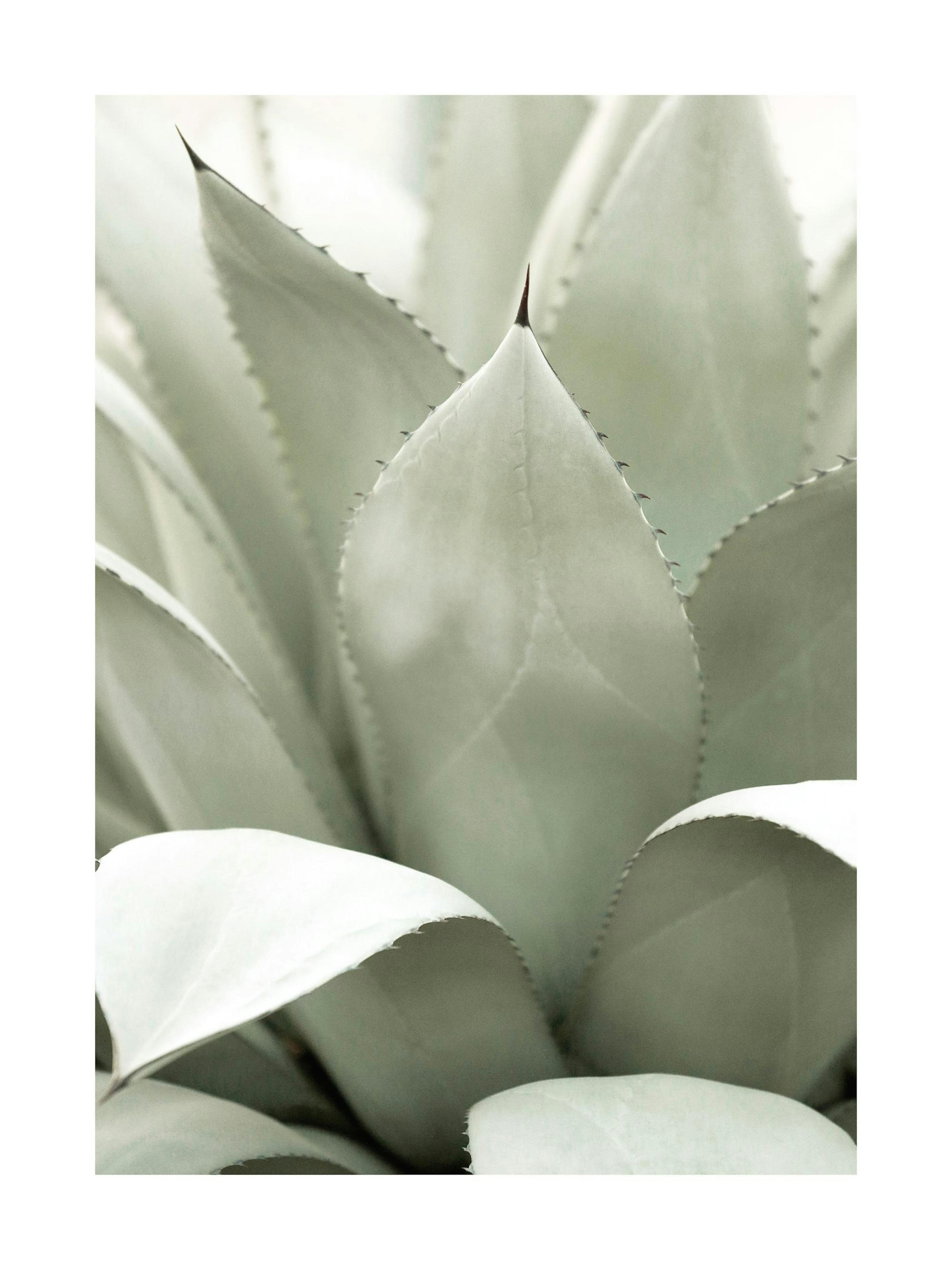 Product image: 1