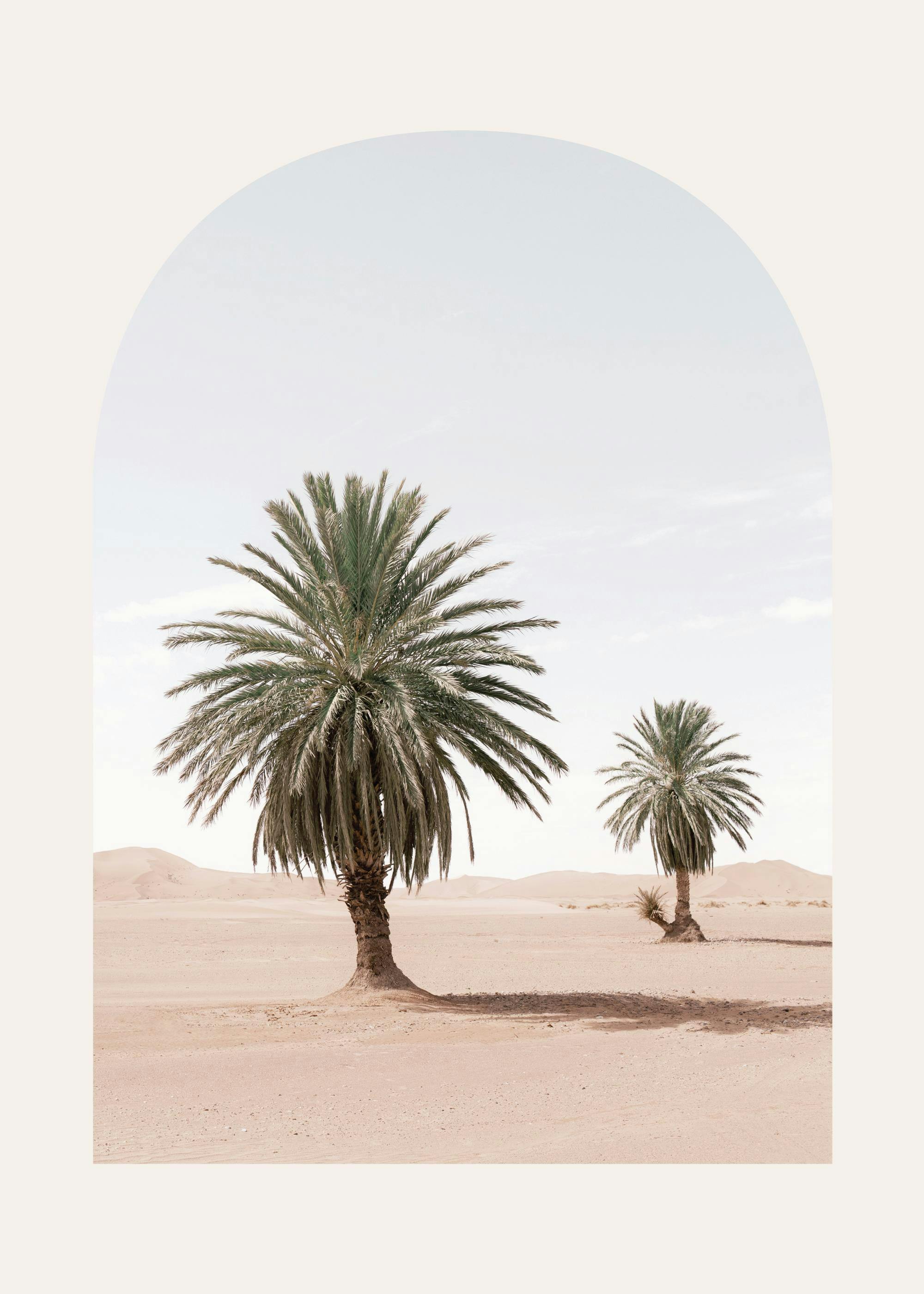 Poster einer Wüstenlandschaft mit zwei Palmen, Sanddünen und hellem Himmel, umrahmt von einem Bogen.