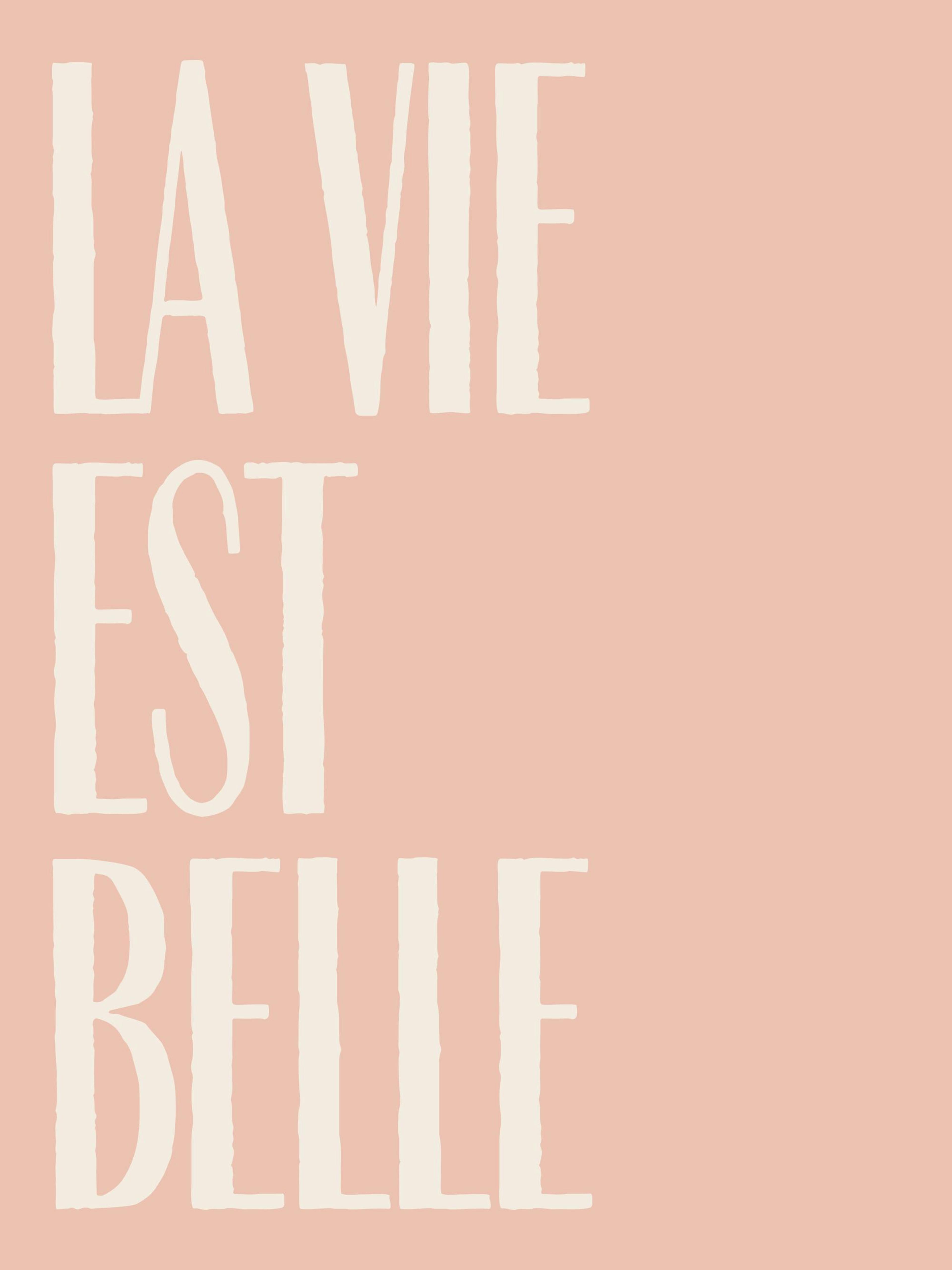 A poster with the French phrase LA VIE EST BELLE (Life is Beautiful) in a textured, distressed off-white font on a light pink ba