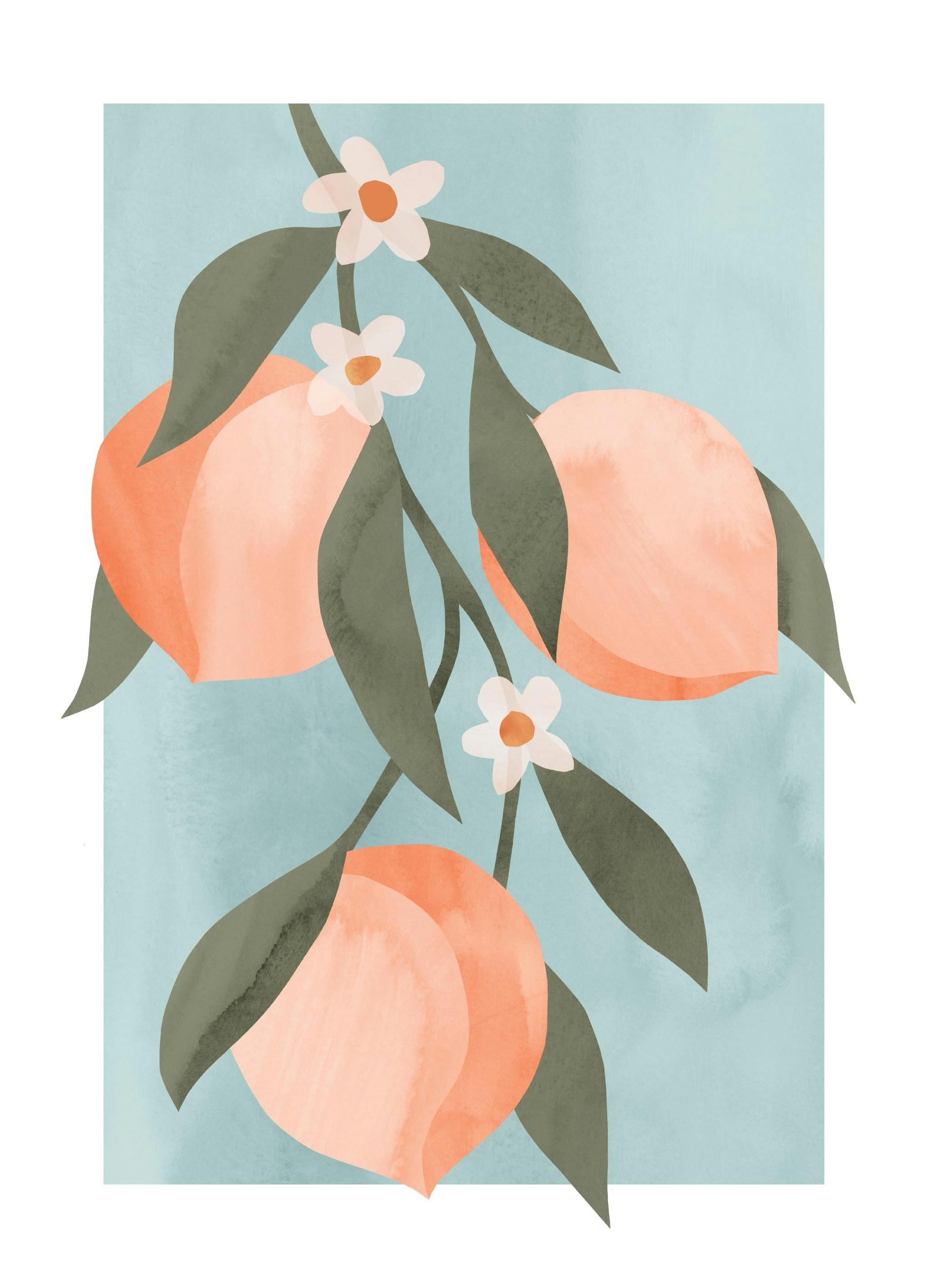 Abstrakt Persikogren Poster (21x30 cm) - Poster Store