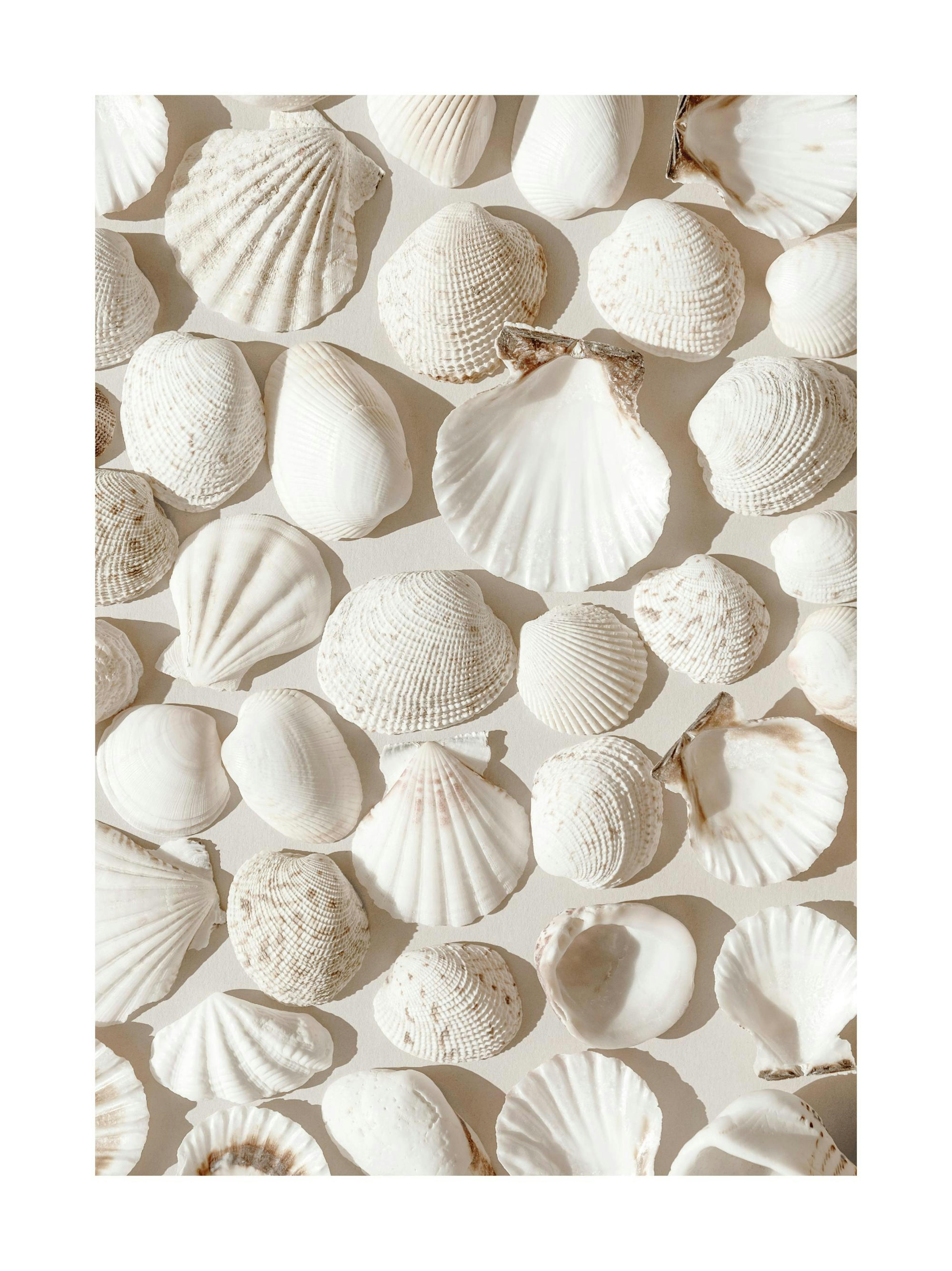 Product image: 1