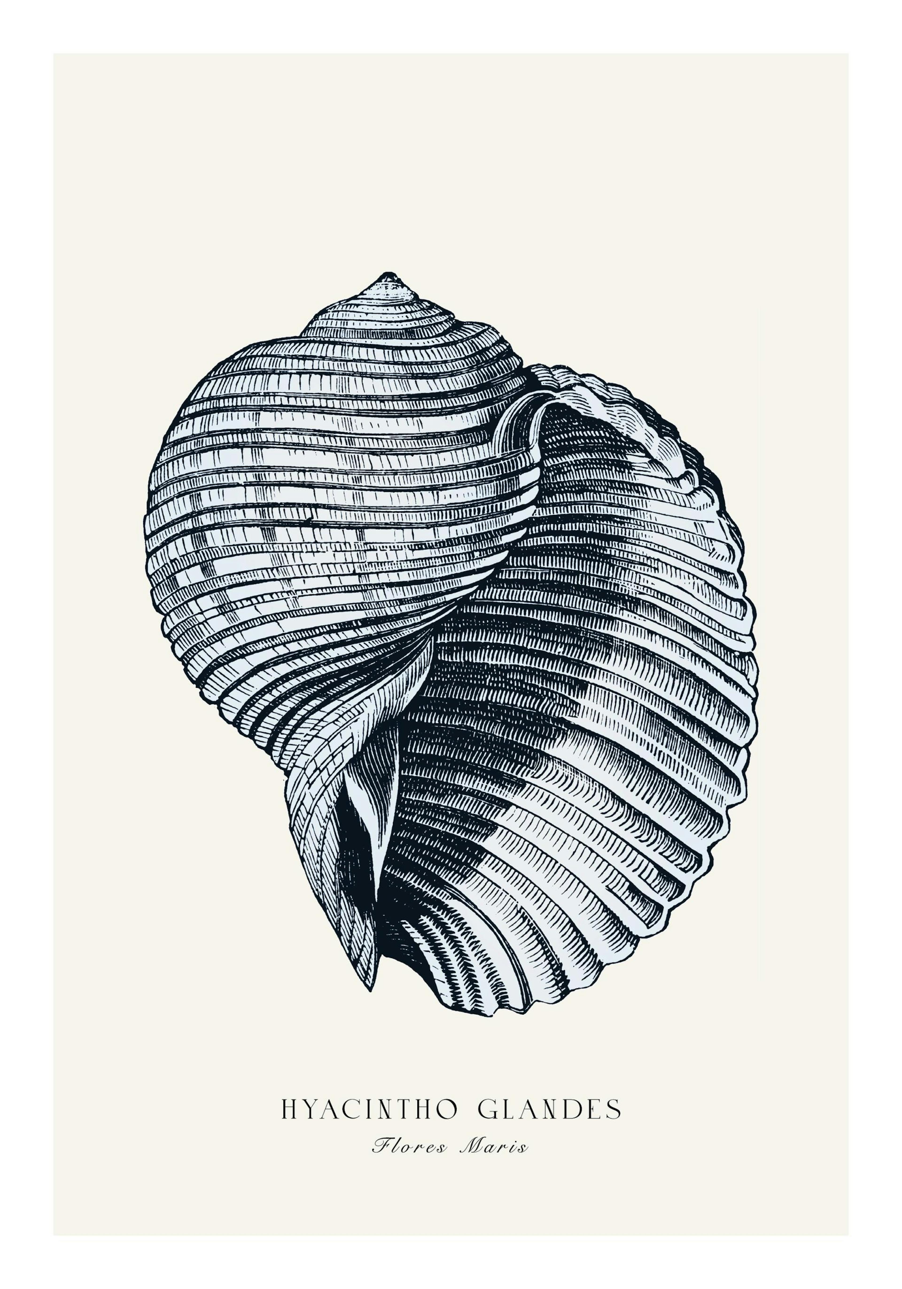 Product image: 1