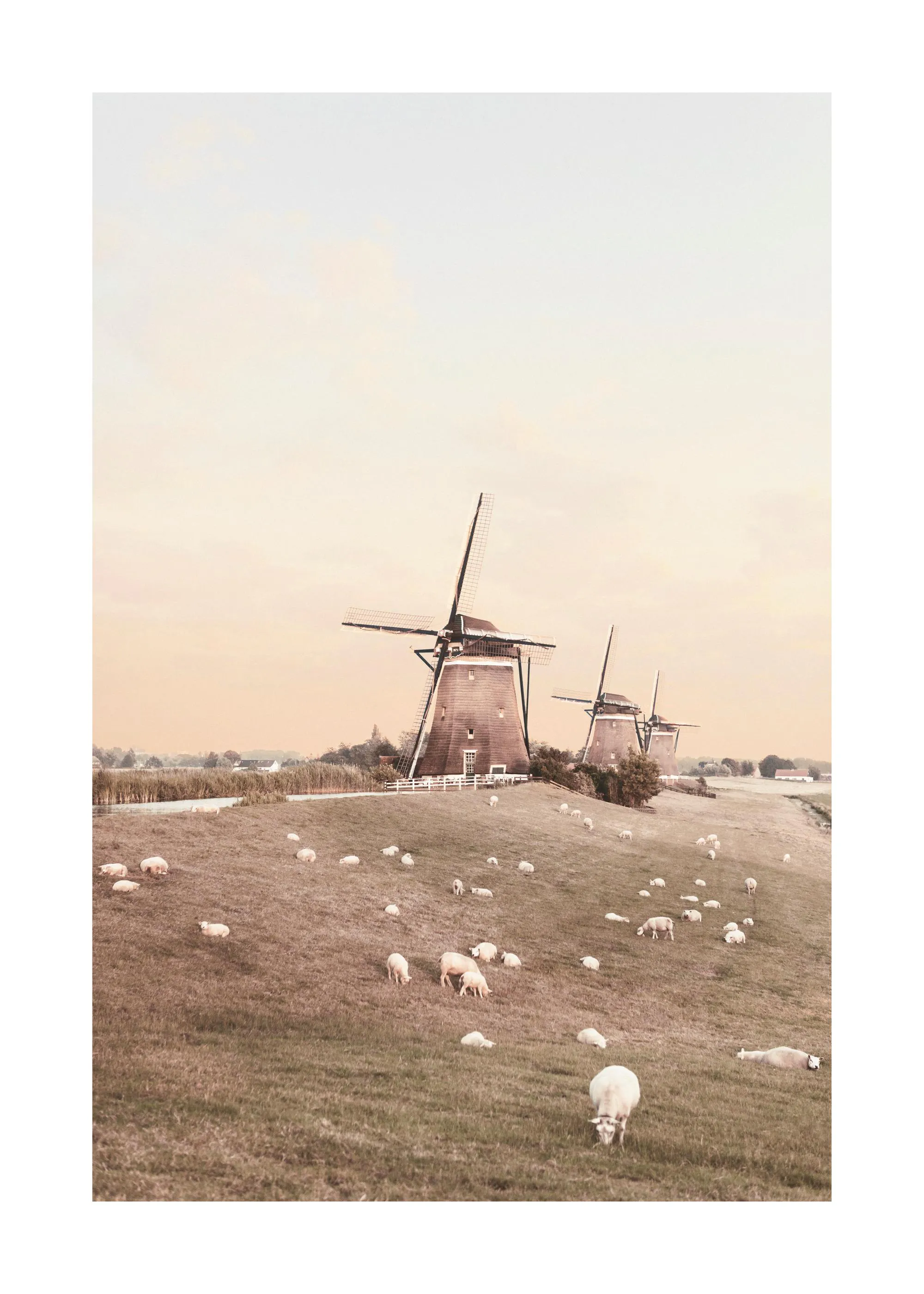 A poster featuring a picturesque landscape with historic windmills and grazing sheep under a soft, pastel sky.