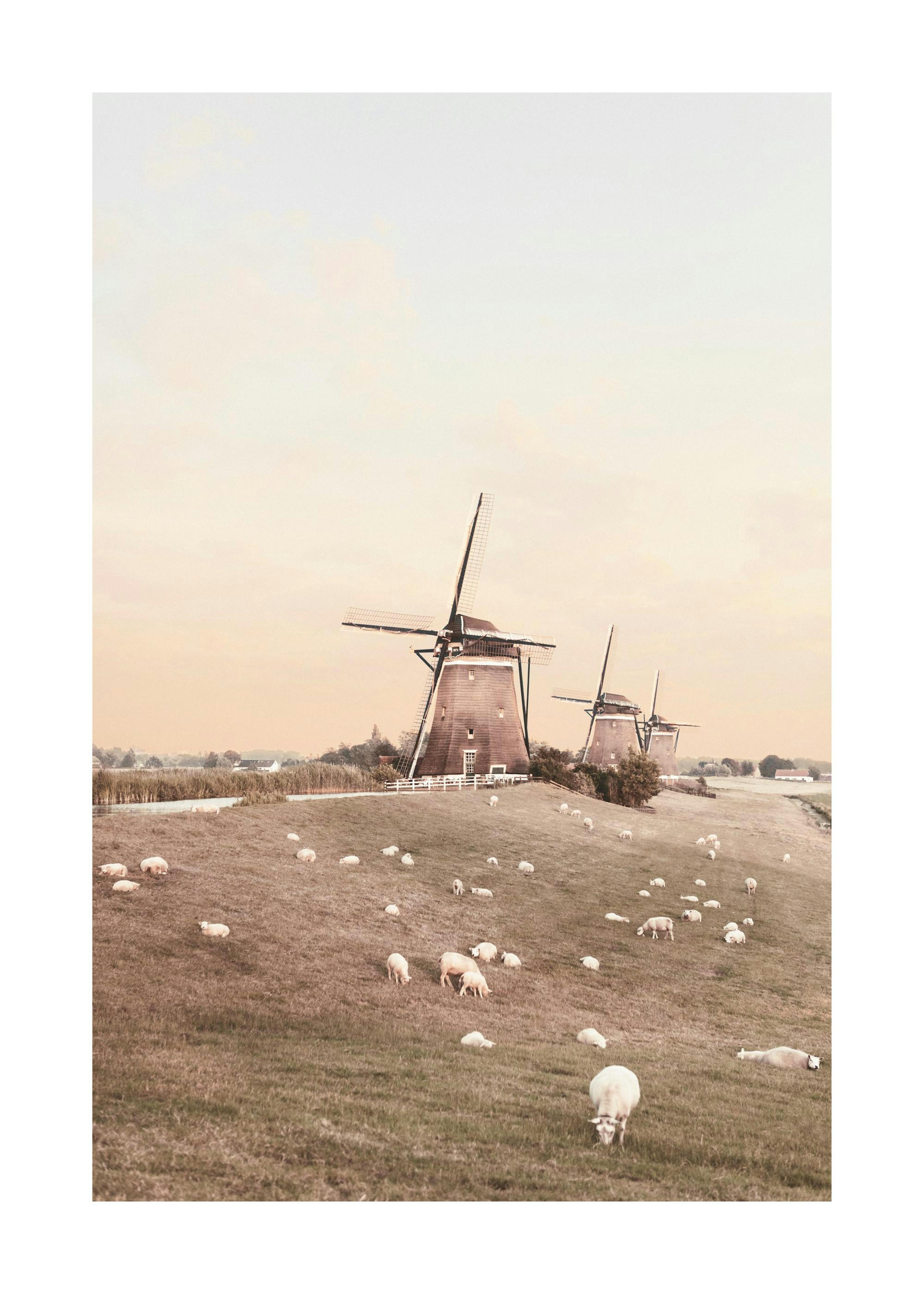 Product image: 1