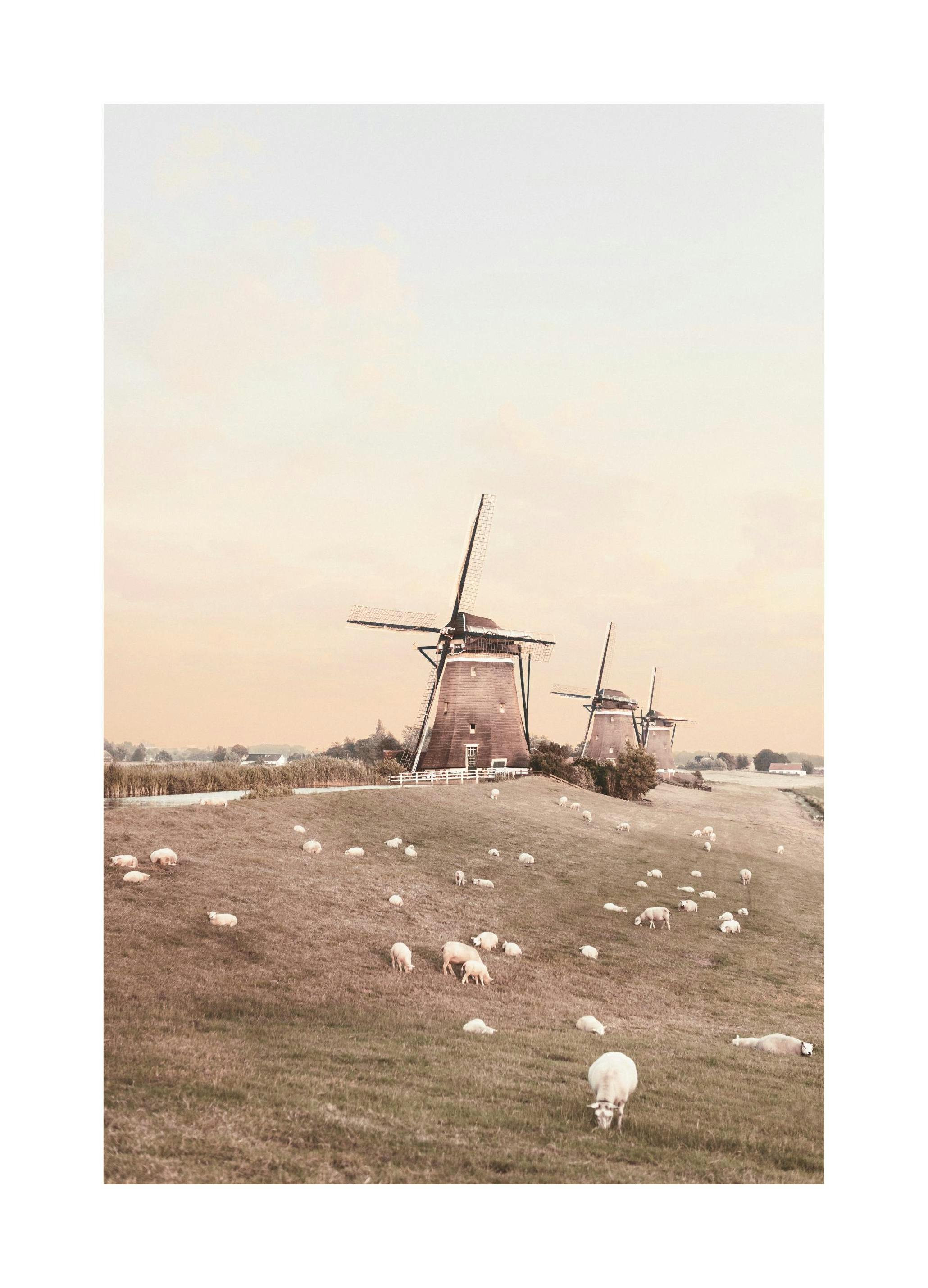 Windmills and Sheep Poster (30x40 cm) - Poster Store