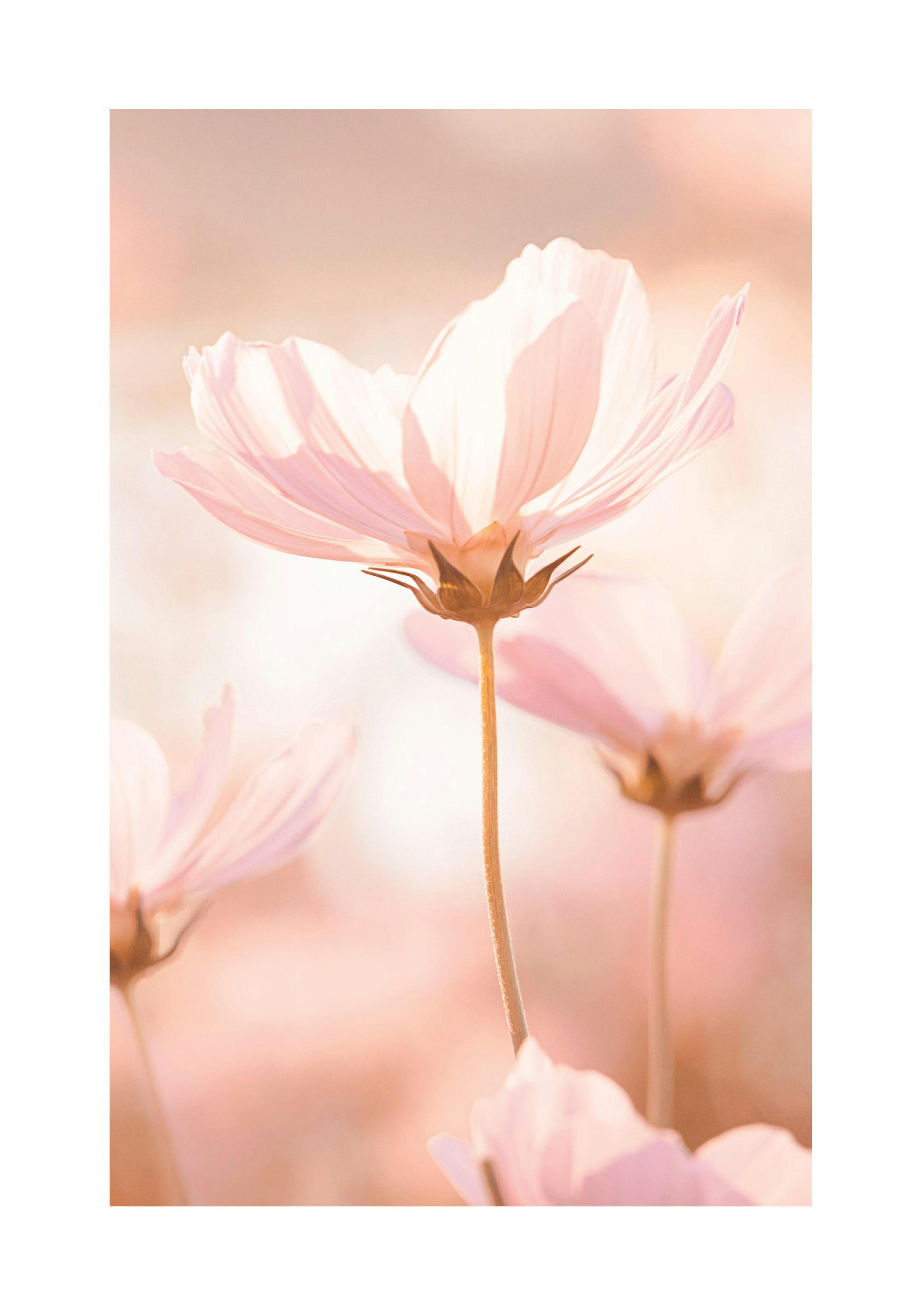 Product image: 1