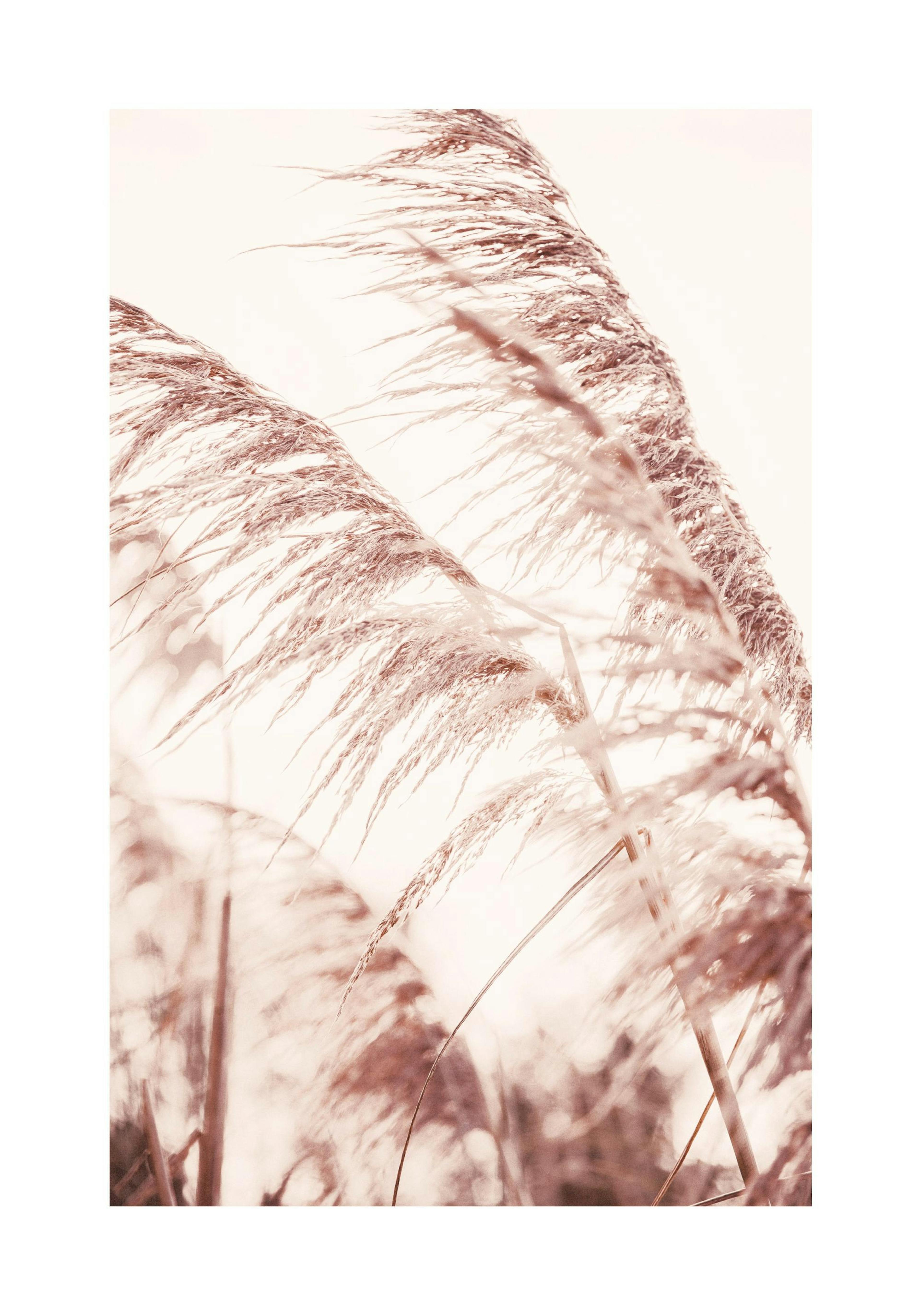 Product image: 1