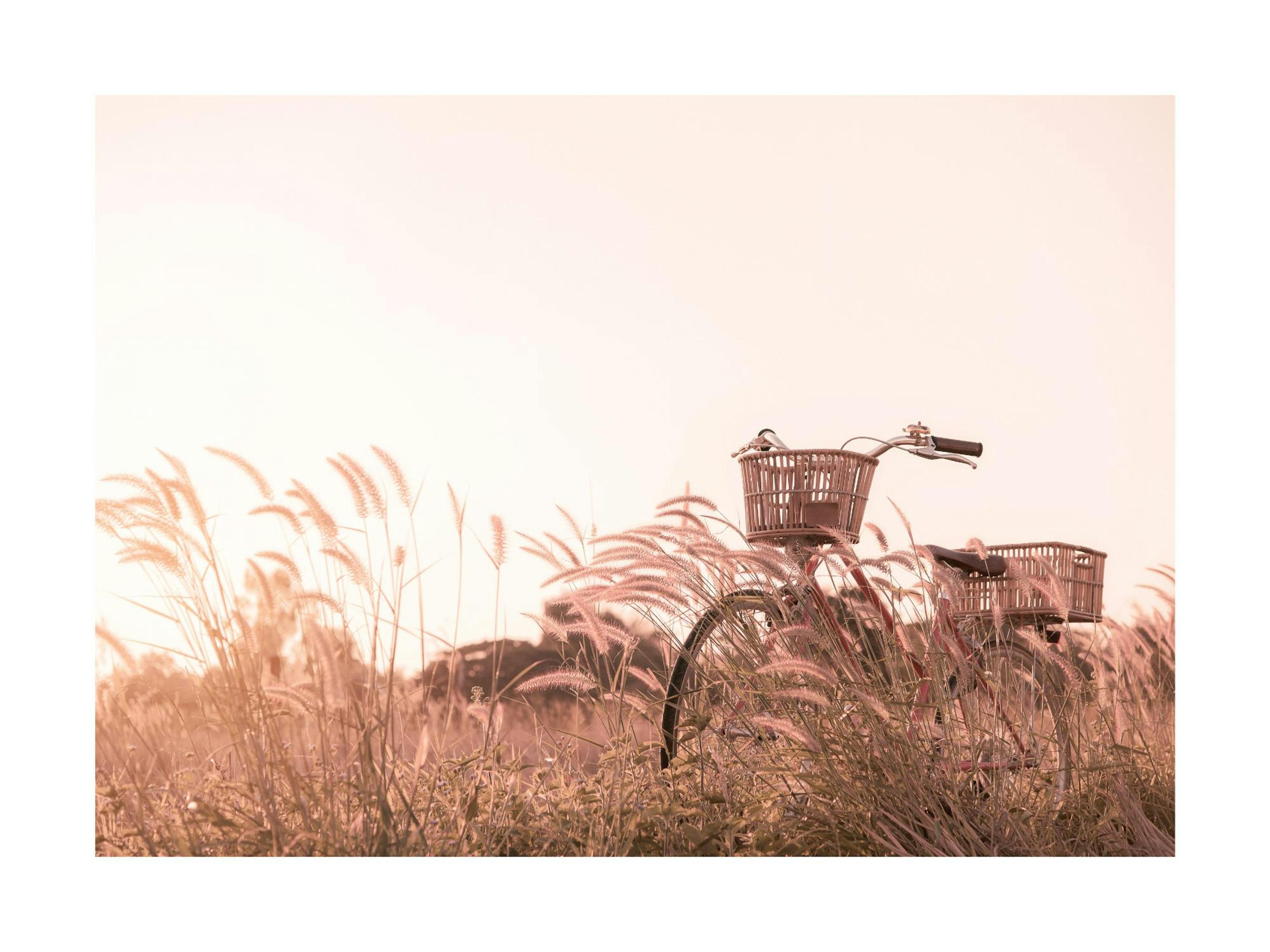 Product image: 1