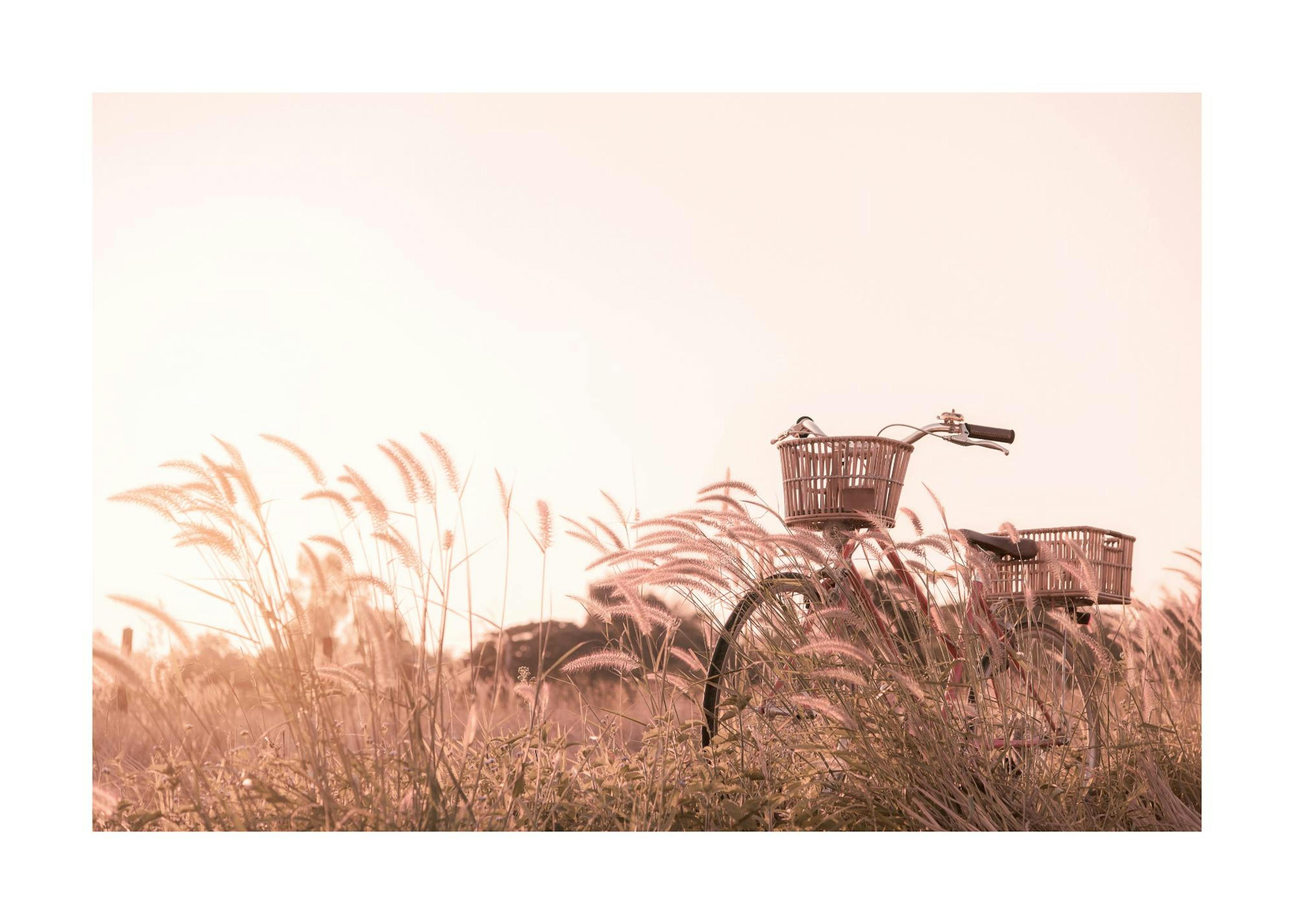 A sepia-toned poster of a vintage bicycle with two wicker baskets, partially hidden in tall, feathery grass.