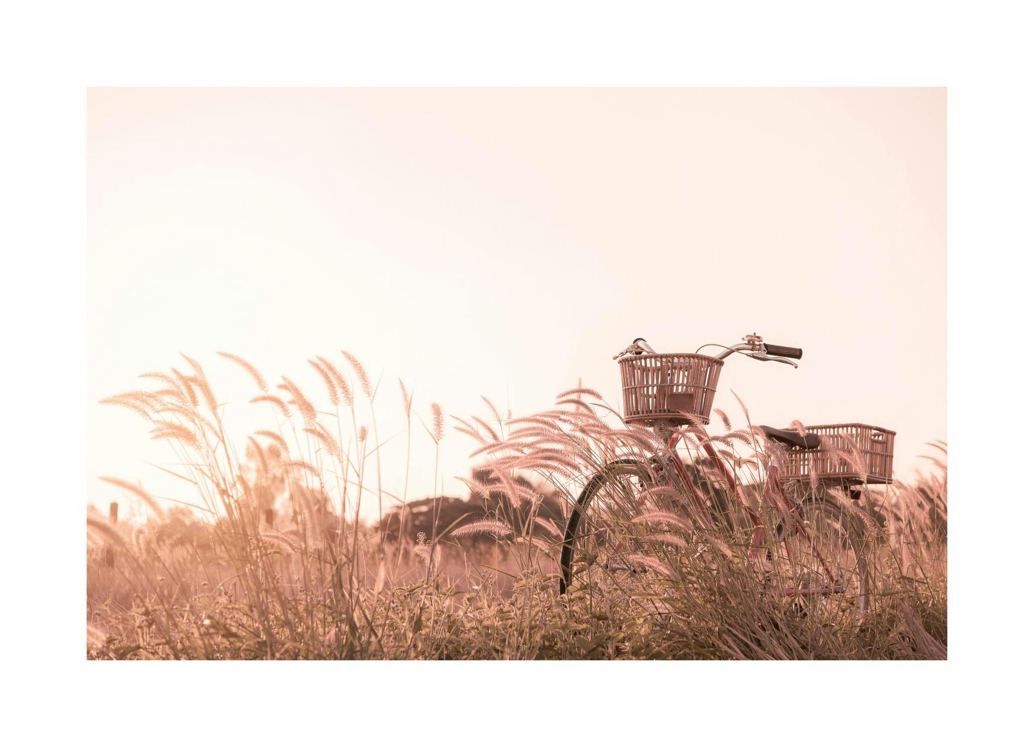 Auringonlasku ja Polkupyörä Juliste (30x40 cm) - Poster Store