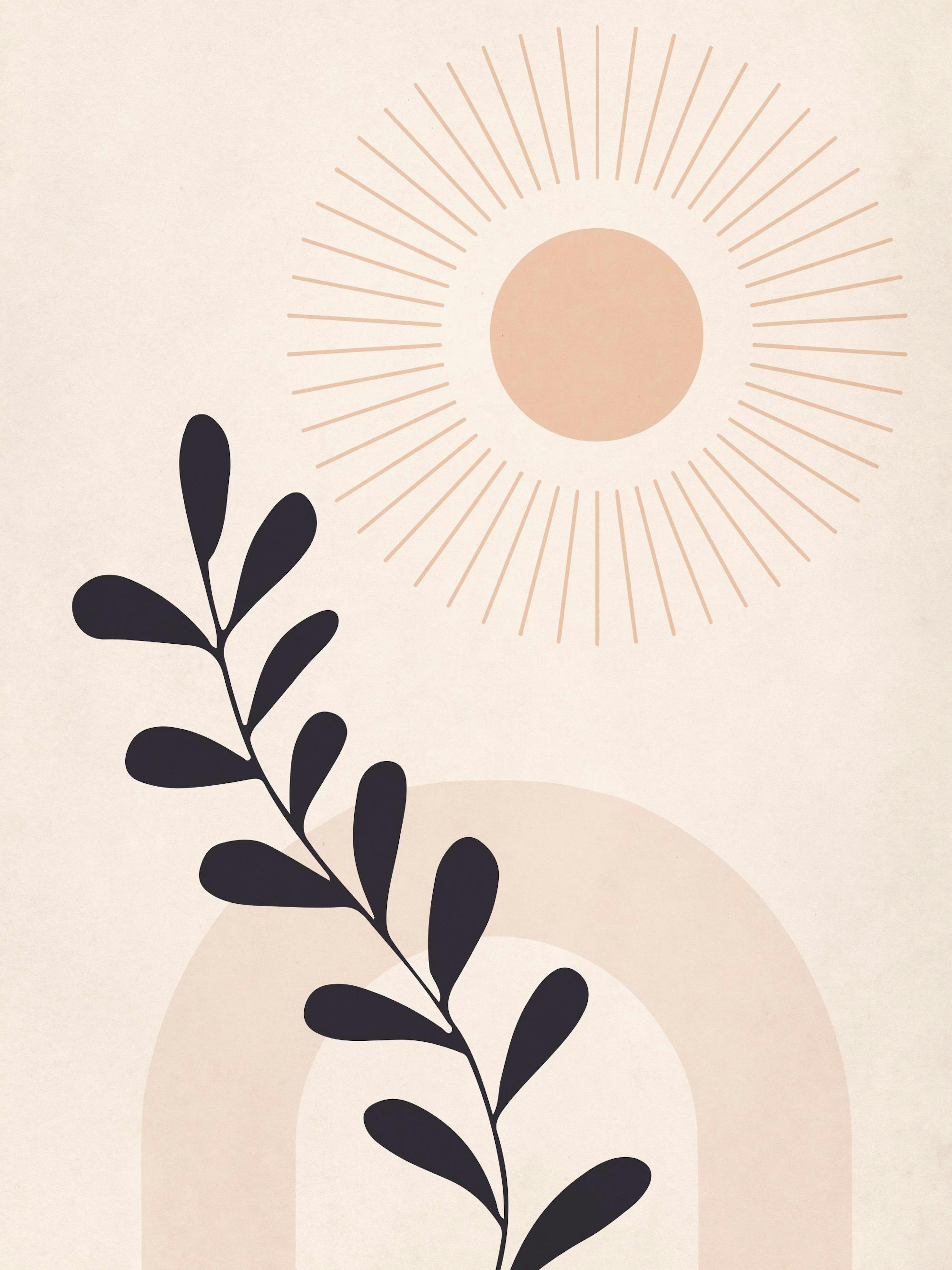 Formes et Botanique No2 Poster 0