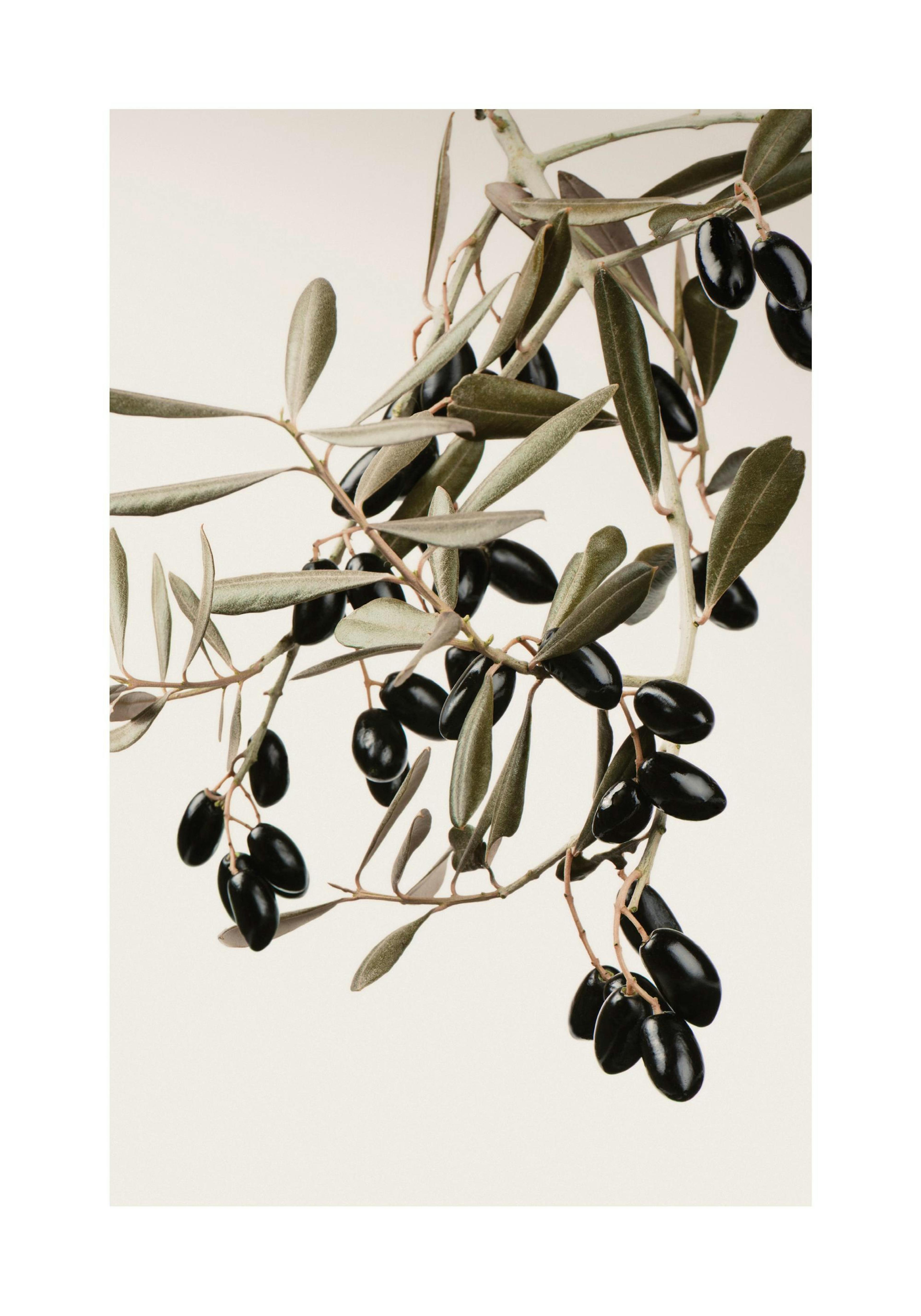 Product image: 1