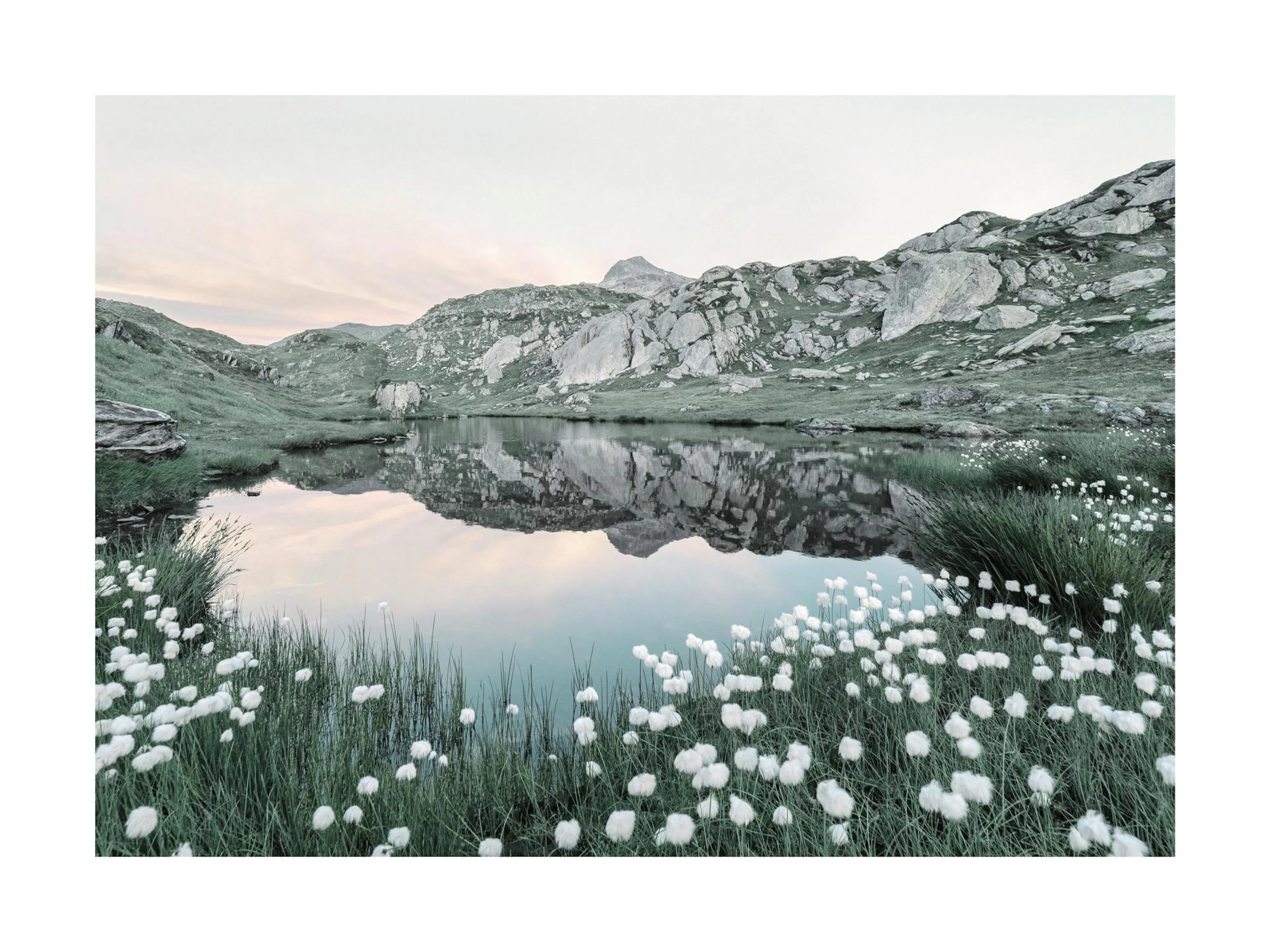 Un poster di un lago alpino circondato da erba verde, rocce e fiori bianchi, con riflessi montani sullacqua.