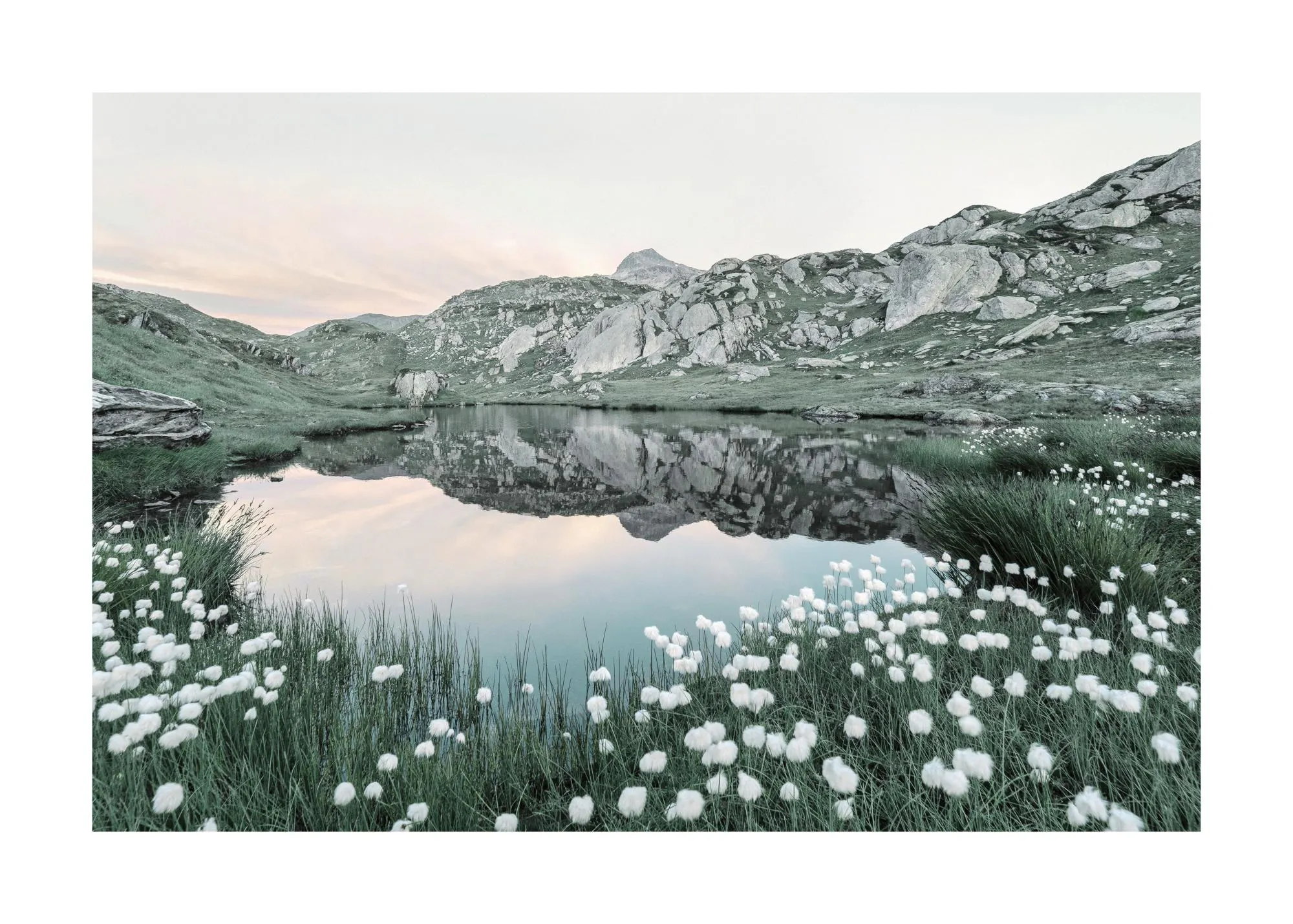 Un poster di un lago alpino circondato da erba verde, rocce e fiori bianchi, con riflessi montani sullacqua.