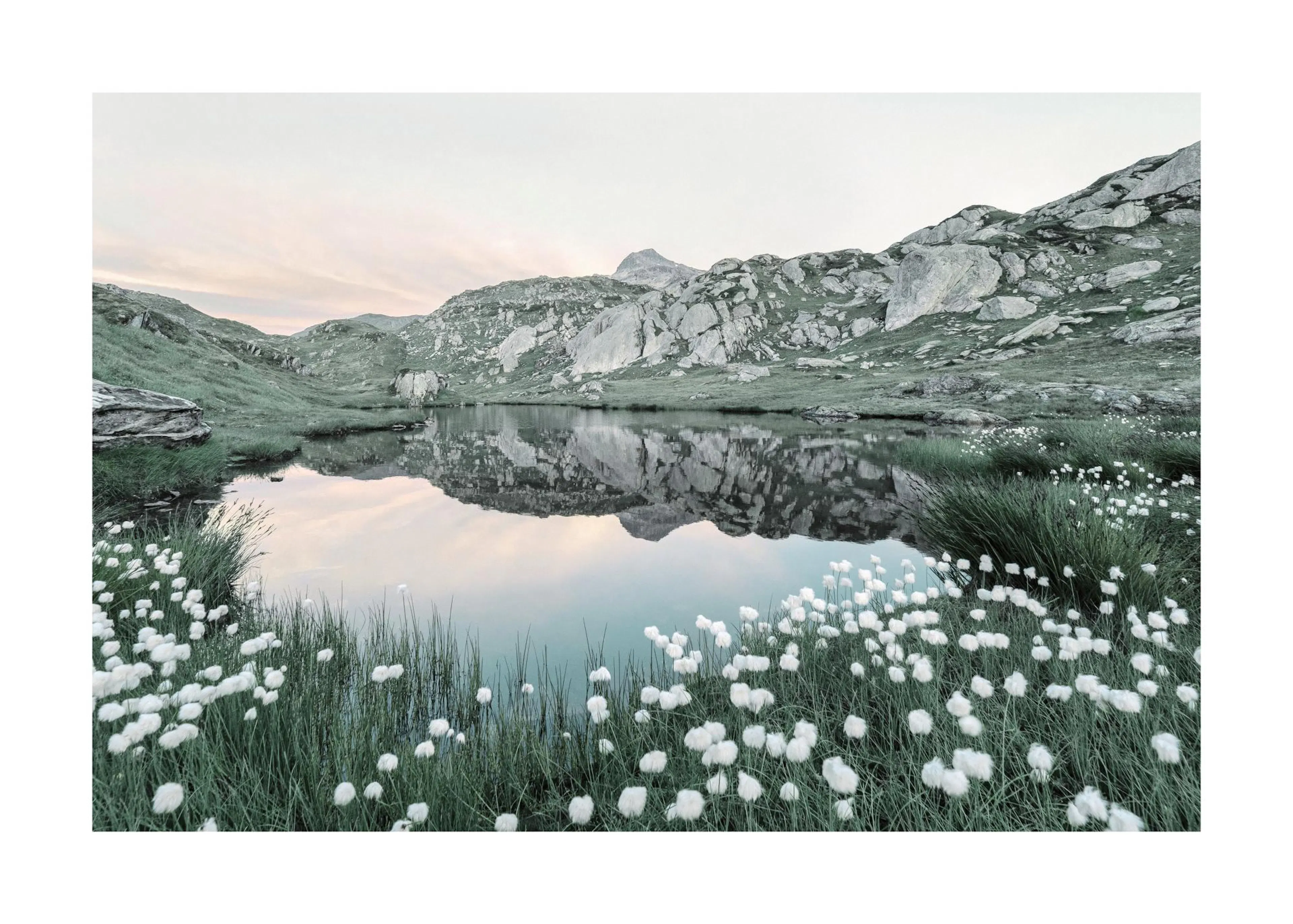 Un poster di un lago alpino circondato da erba verde, rocce e fiori bianchi, con riflessi montani sullacqua.
