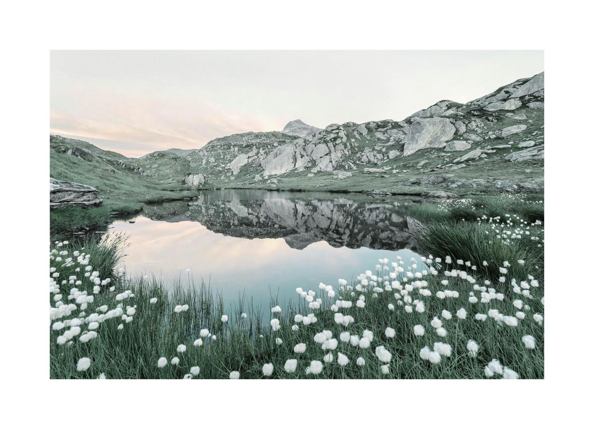 Bloeiend alpenmeer poster (30x40 cm) - Poster Store