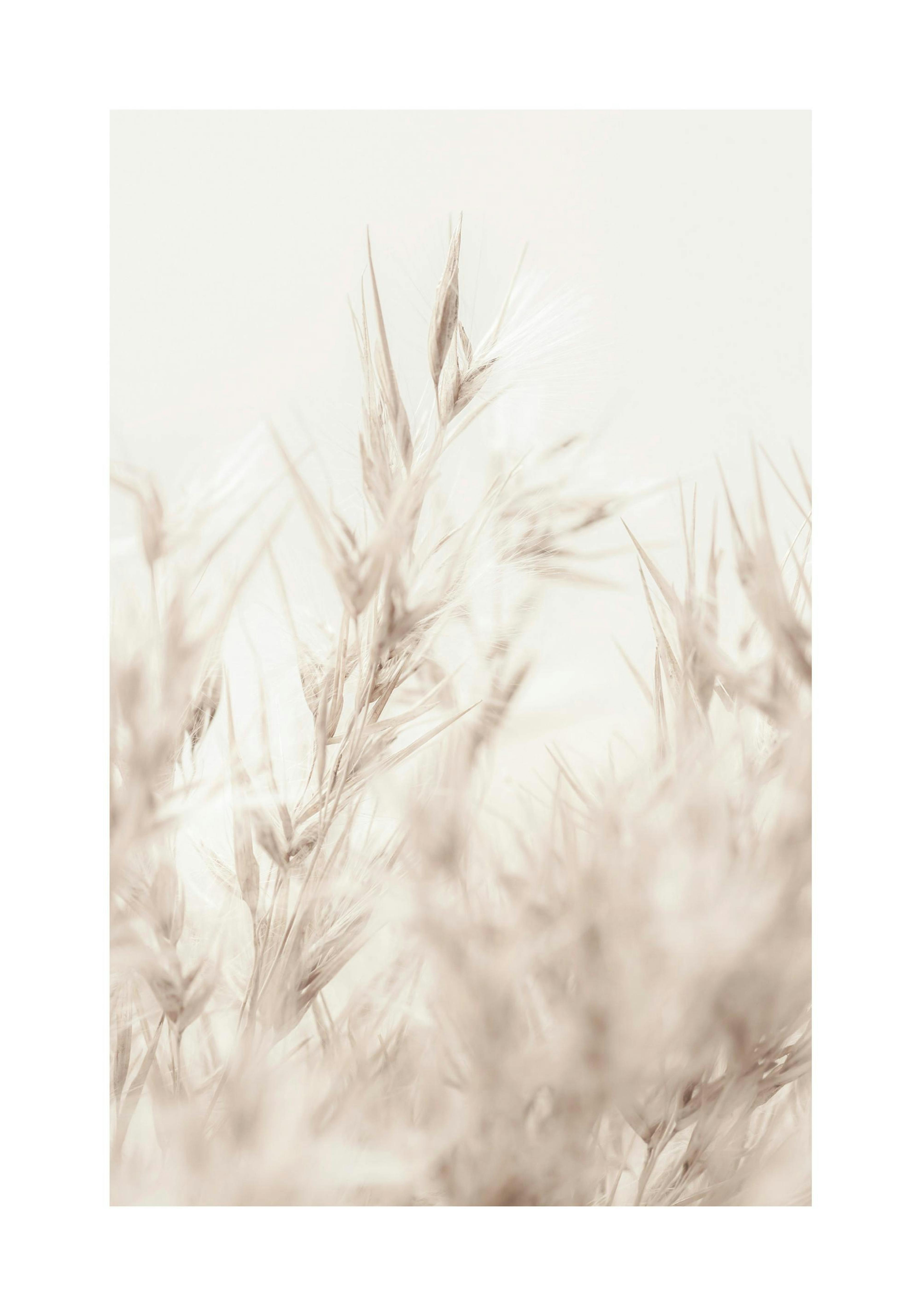 Product image: 1