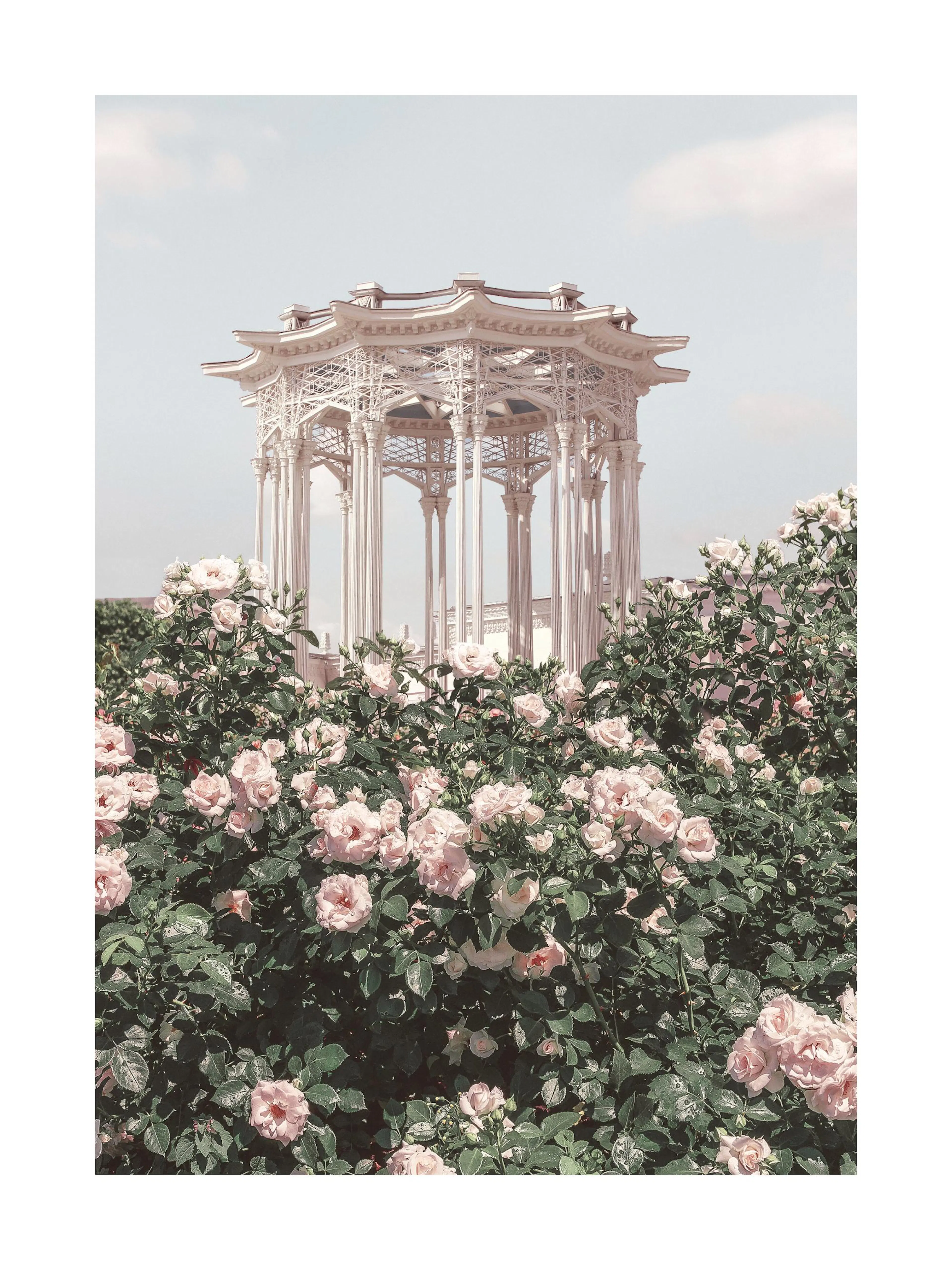 Poster con gazebo bianco immerso in un roseto fiorito con nuvole nel cielo.