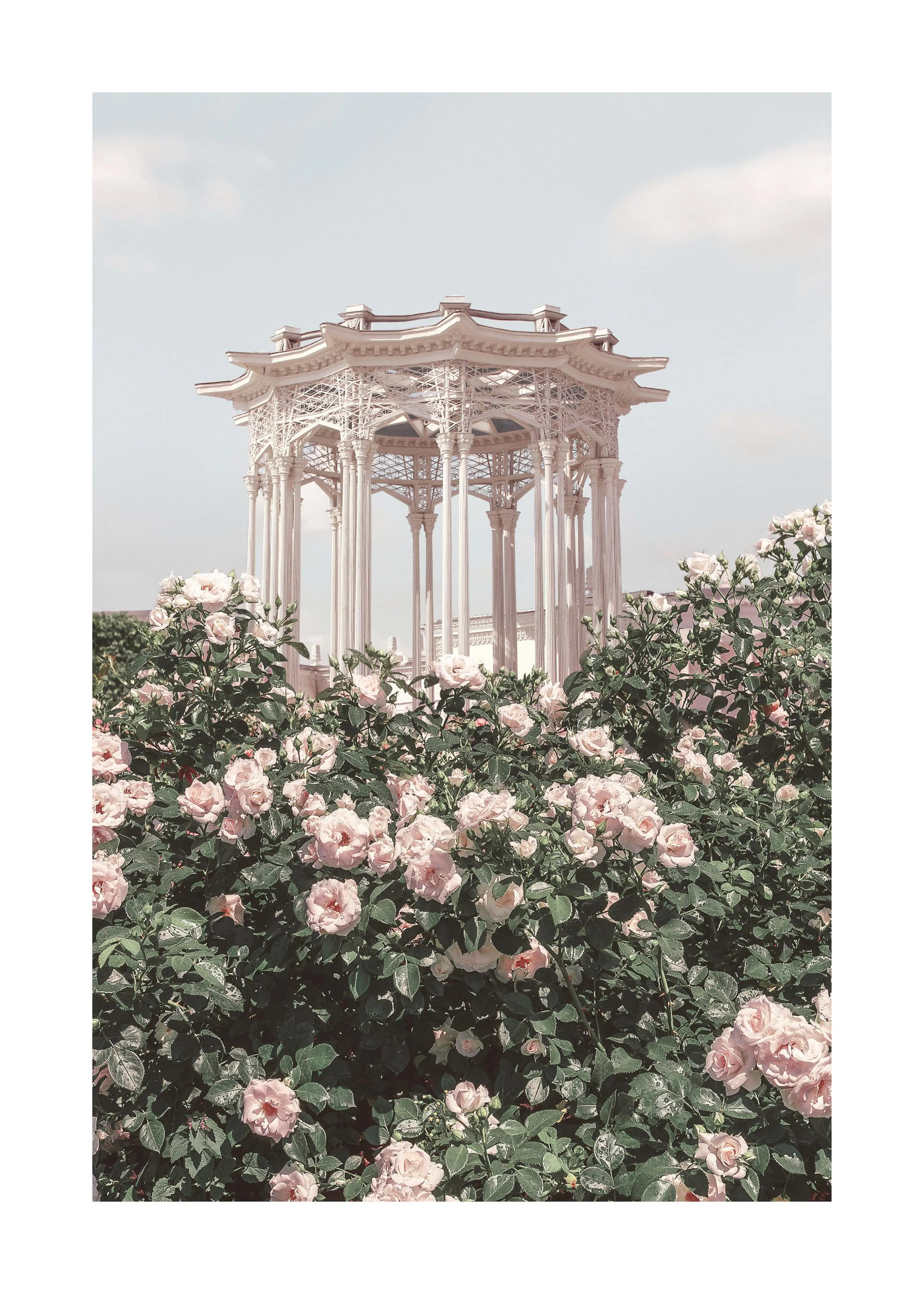 Un poster di un gazebo bianco con rose rosa in primo piano, sotto un cielo azzurro chiaro.