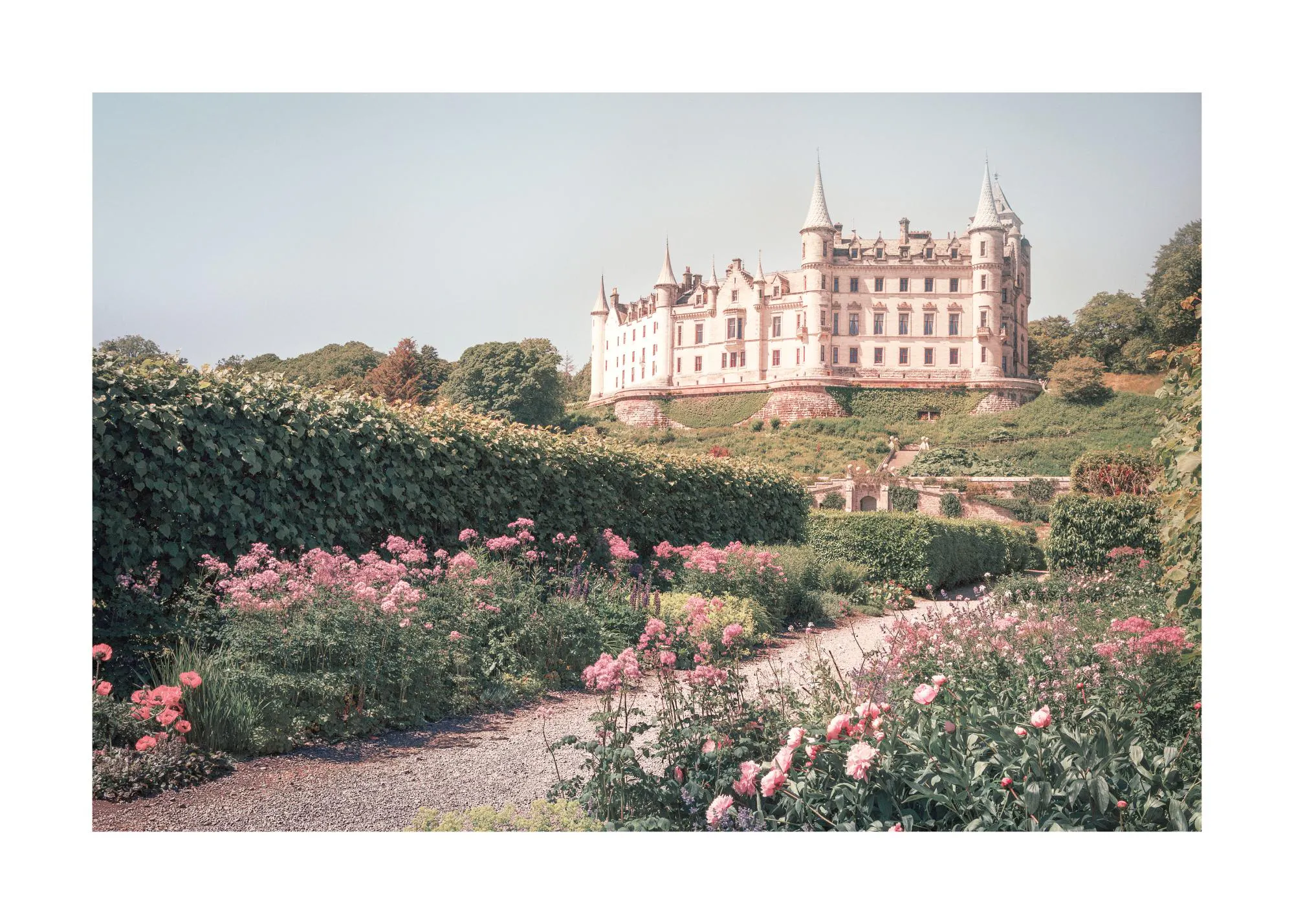 En plakat av et eventyrlig slott på en grønn åsrygg, med en grussti og blomstrende rosa blomster i forgrunnen.