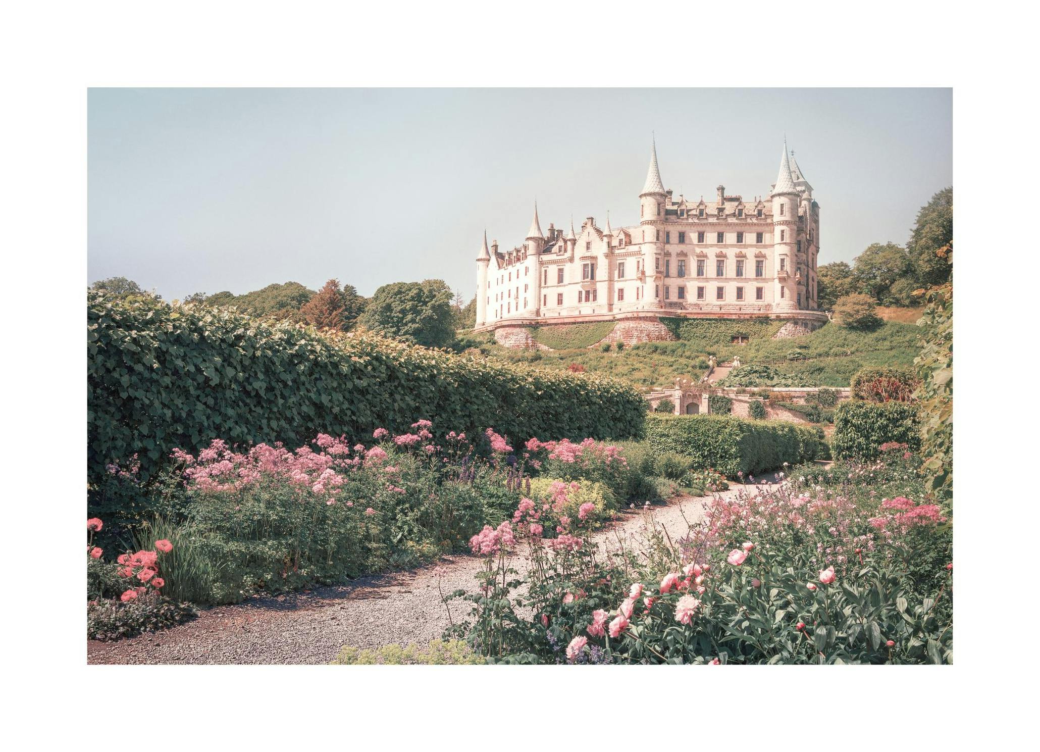 Castle Garden Poster (30x40 cm) - Poster Store