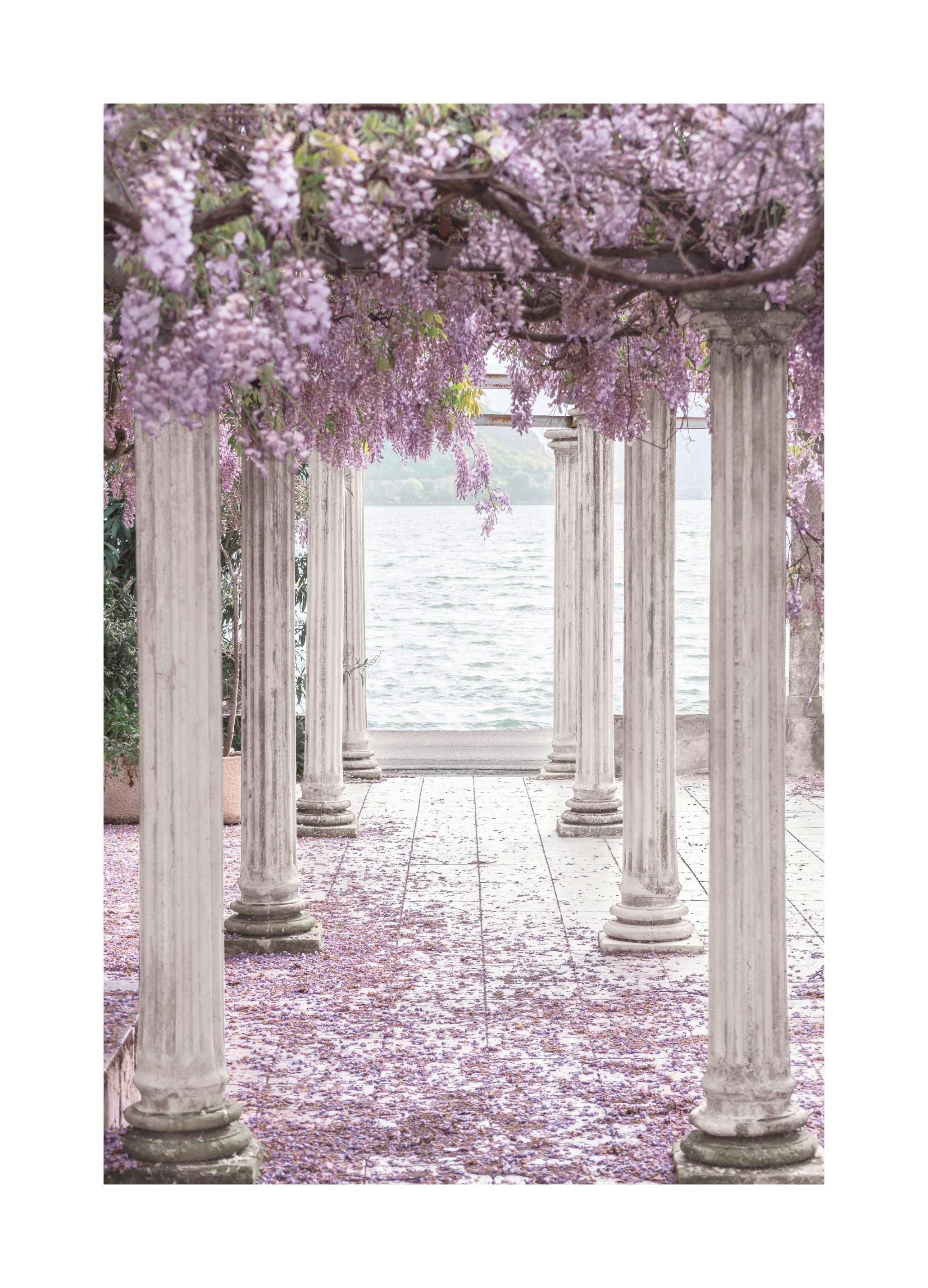 Plakat Filary Wisteria (30x40 cm) - Poster Store