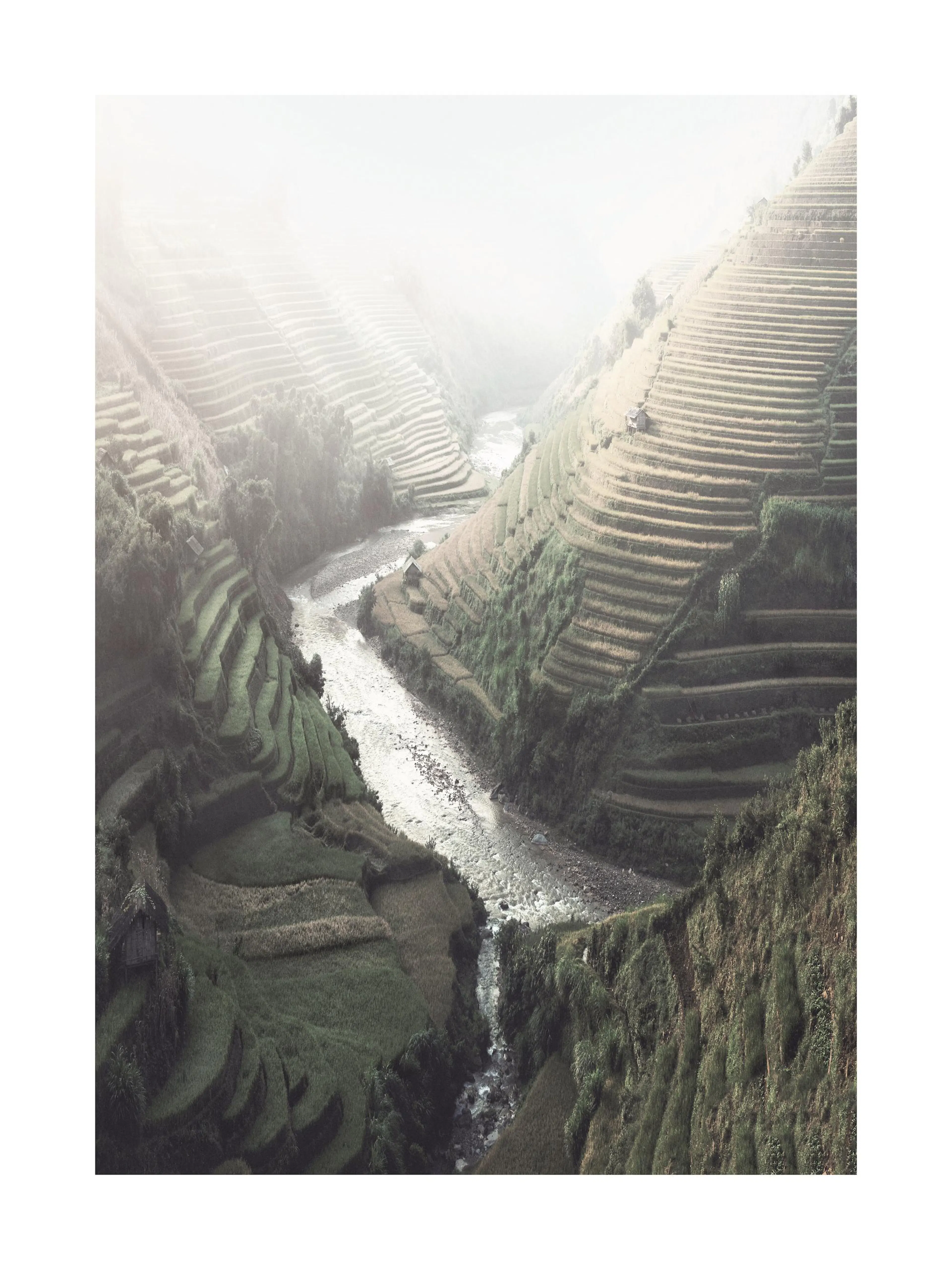 Un poster di un fiume in una valle tra terrazzamenti di riso verdi e ocra, con nebbia in lontananza.