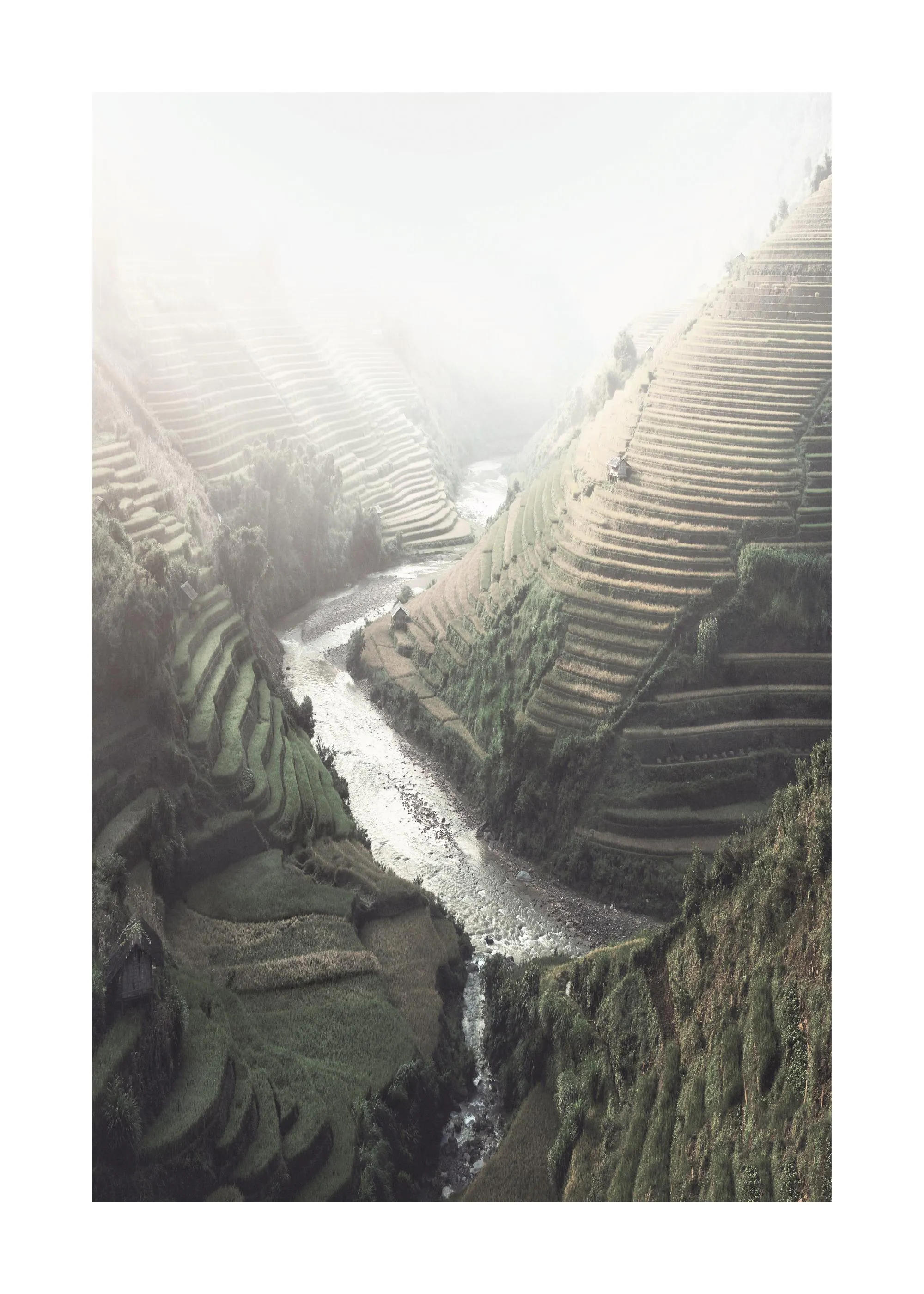 Póster de un valle brumoso con arrozales en terrazas y un río que serpentea por el centro.