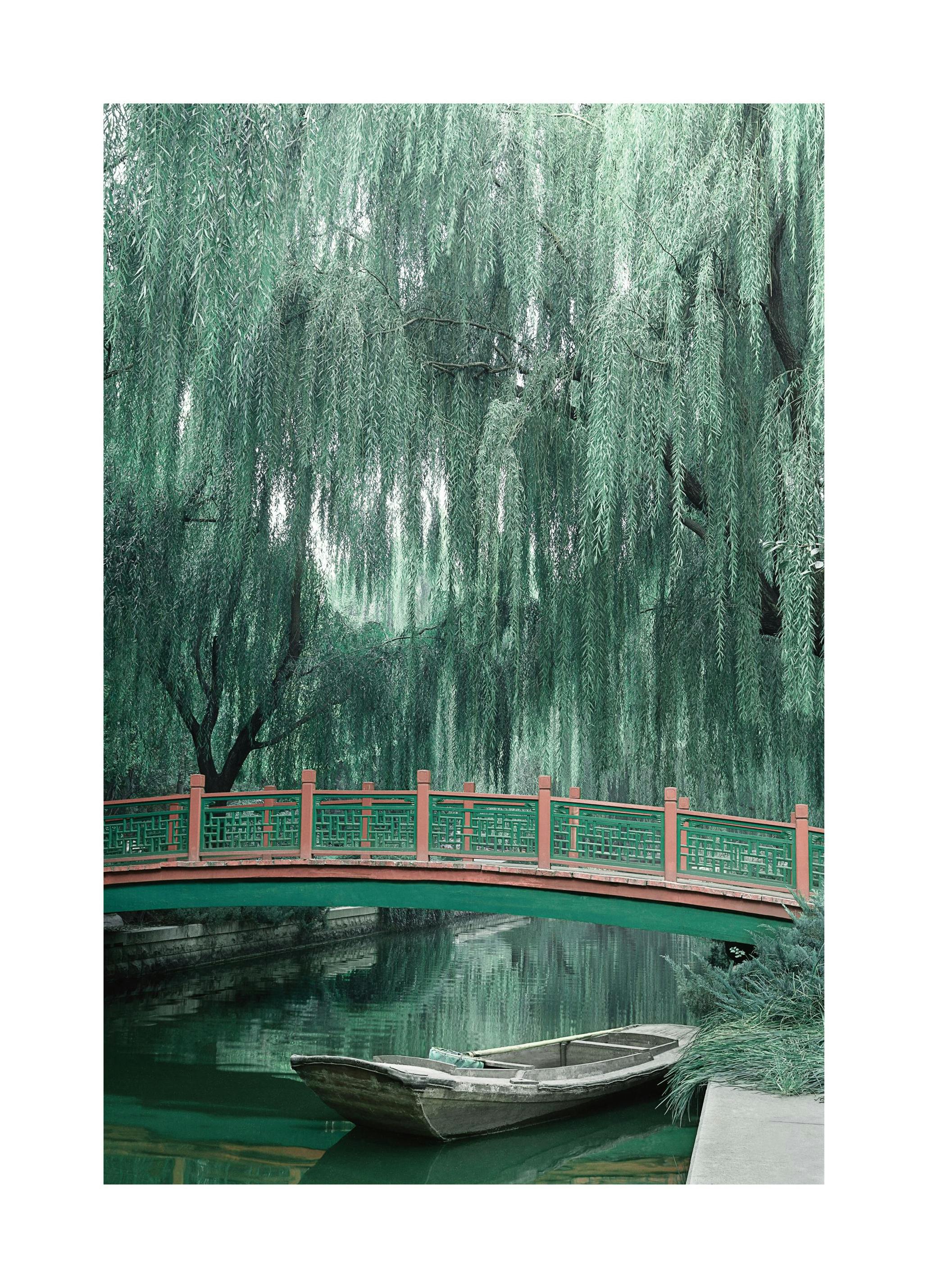 Ponte sotto il salice Poster (30x40 cm) - Poster Store