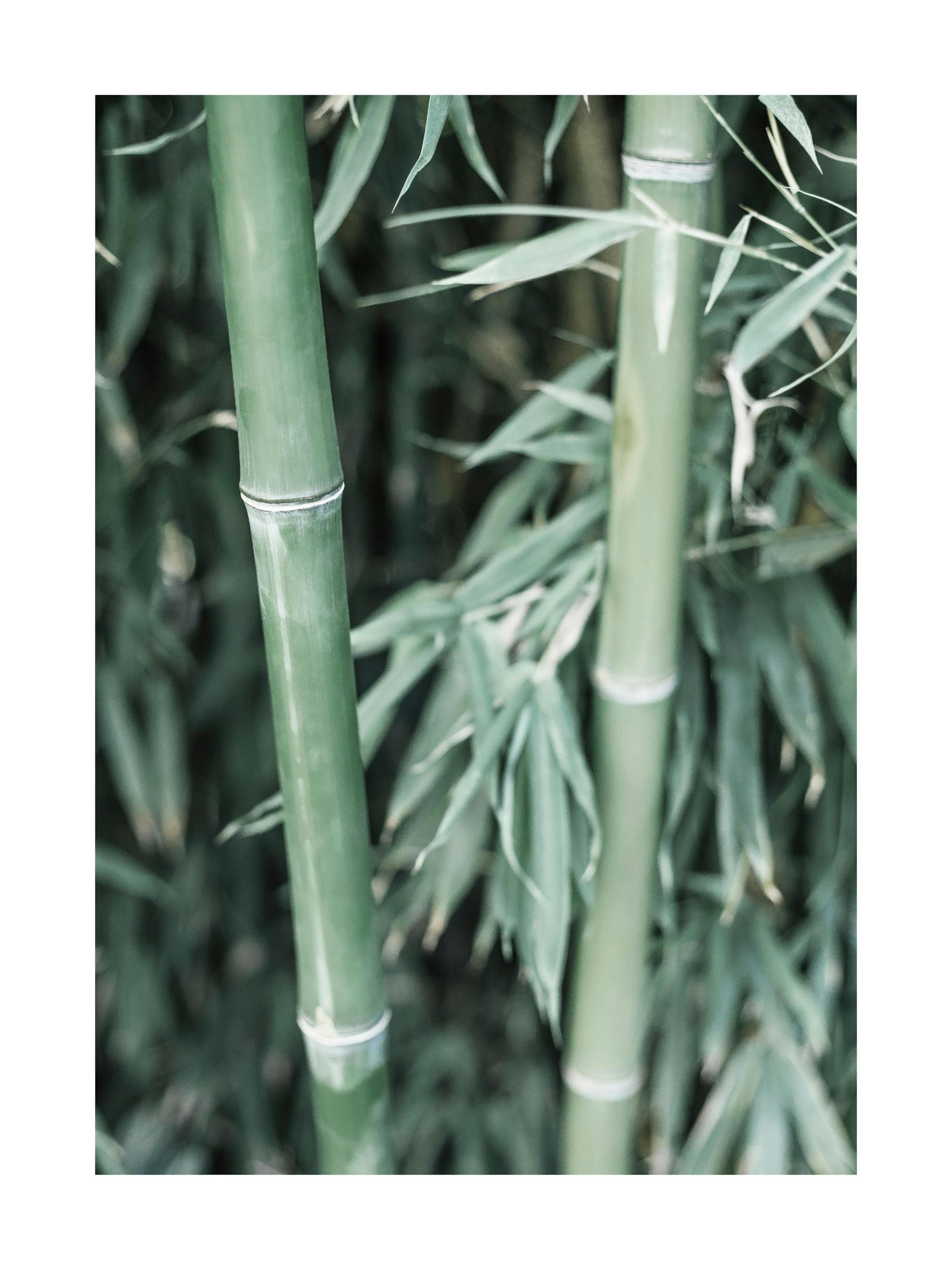 Product image: 1