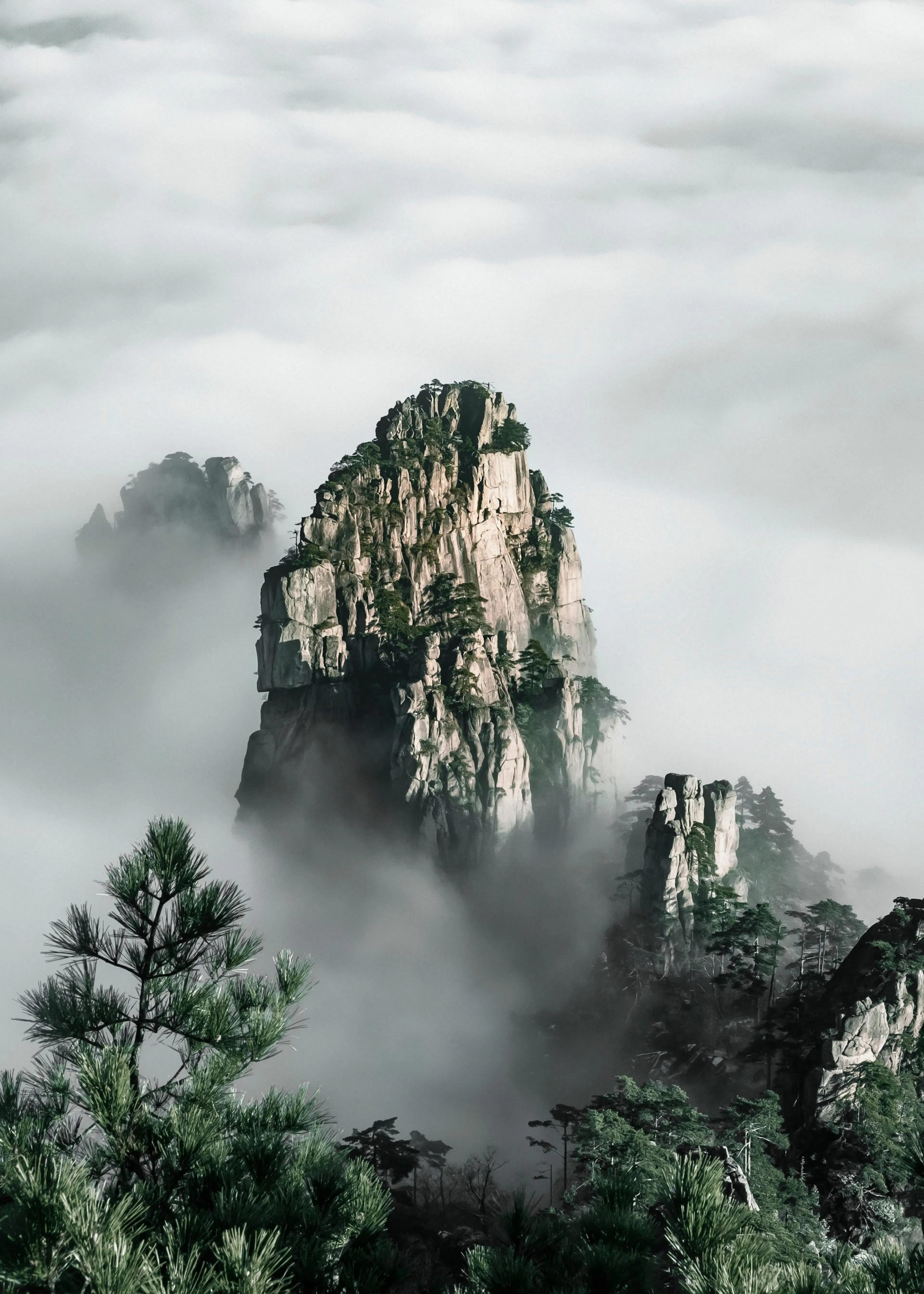 Poster cu vârfuri muntoase stâncoase, acoperite cu pini, înconjurate de ceață densă.