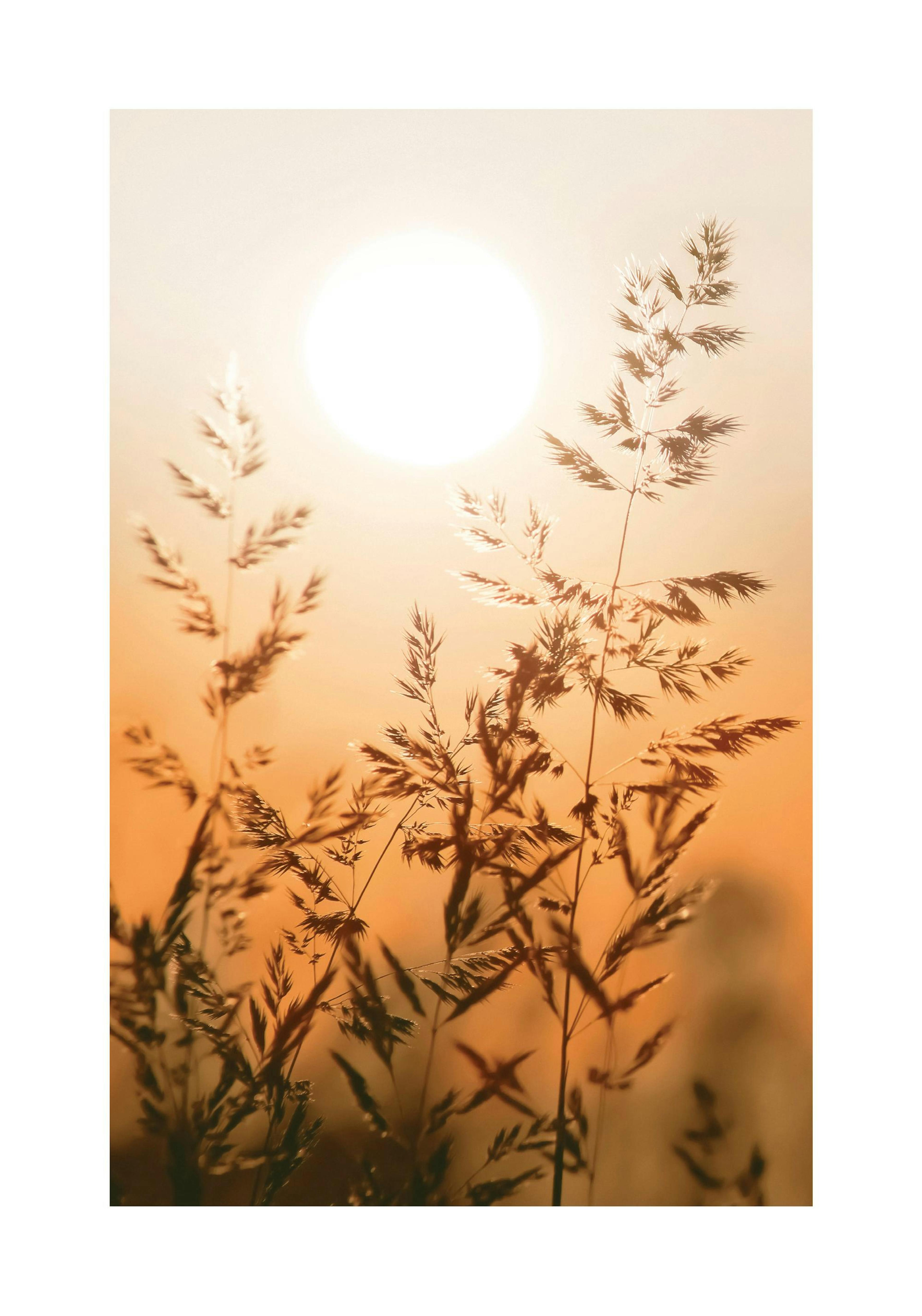 Product image: 1