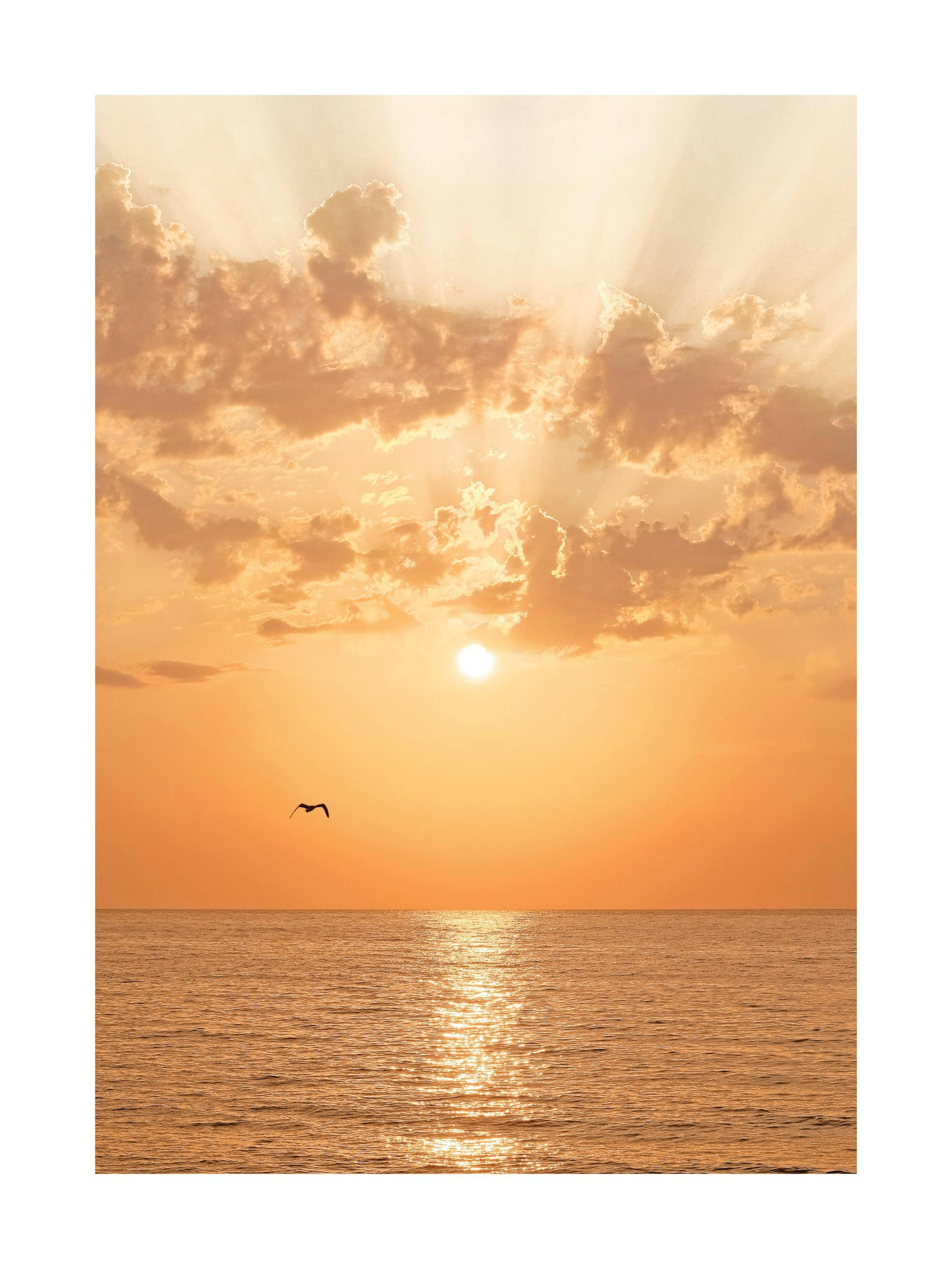 Product image: 1