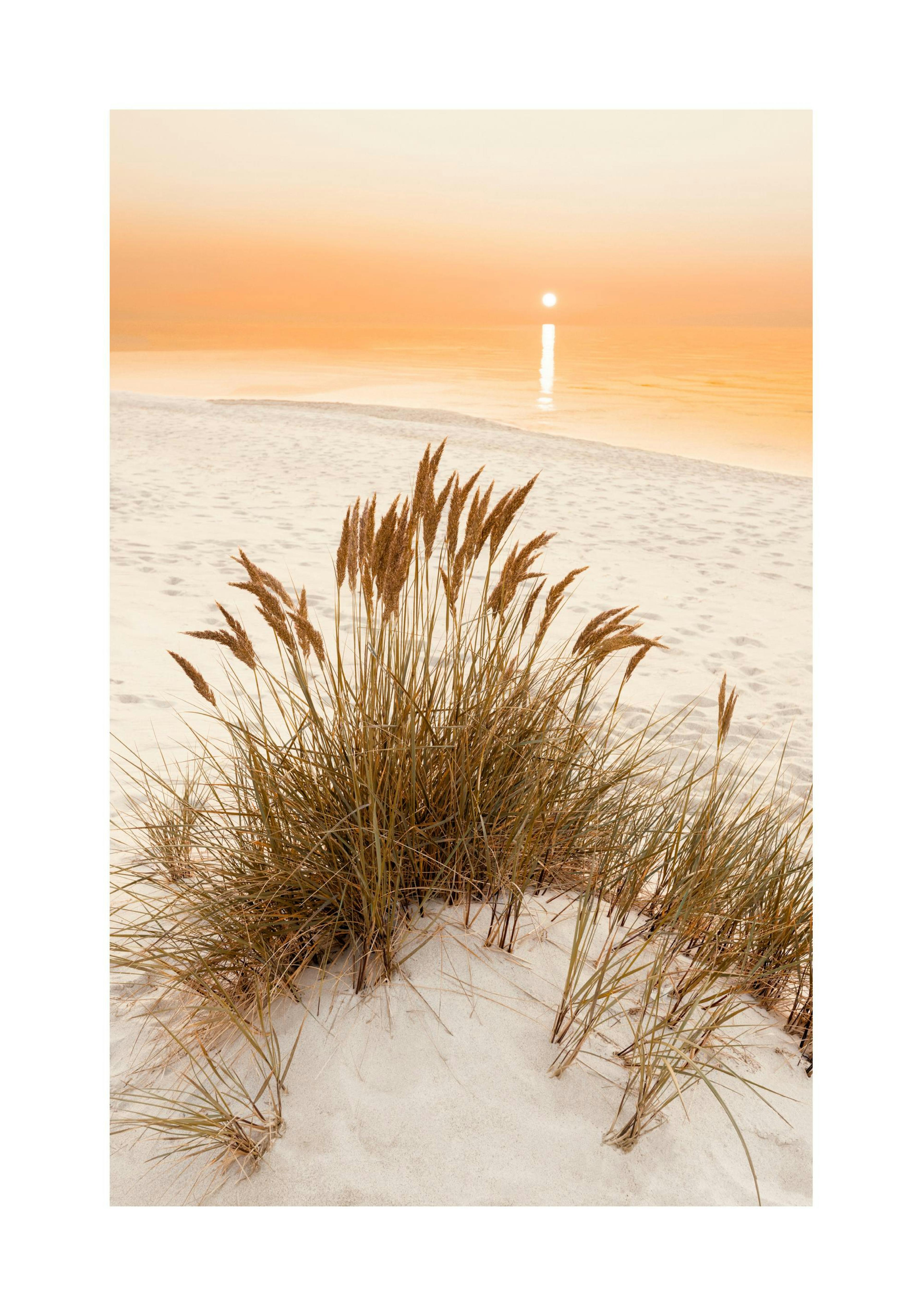 Product image: 1