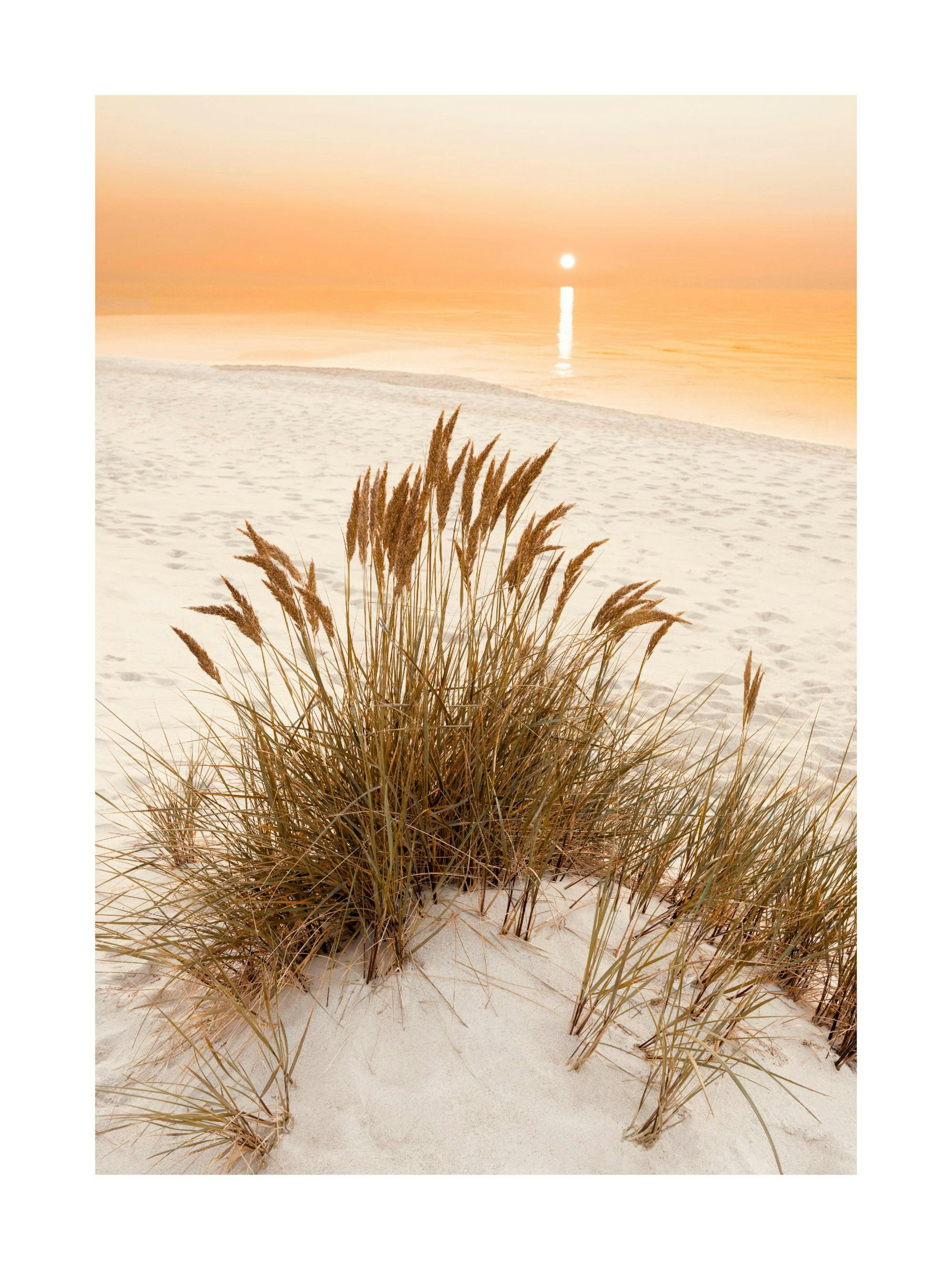 A poster of beach grass on a sand dune with an orange sunset over the ocean, hanging above a sofa with pillows.
